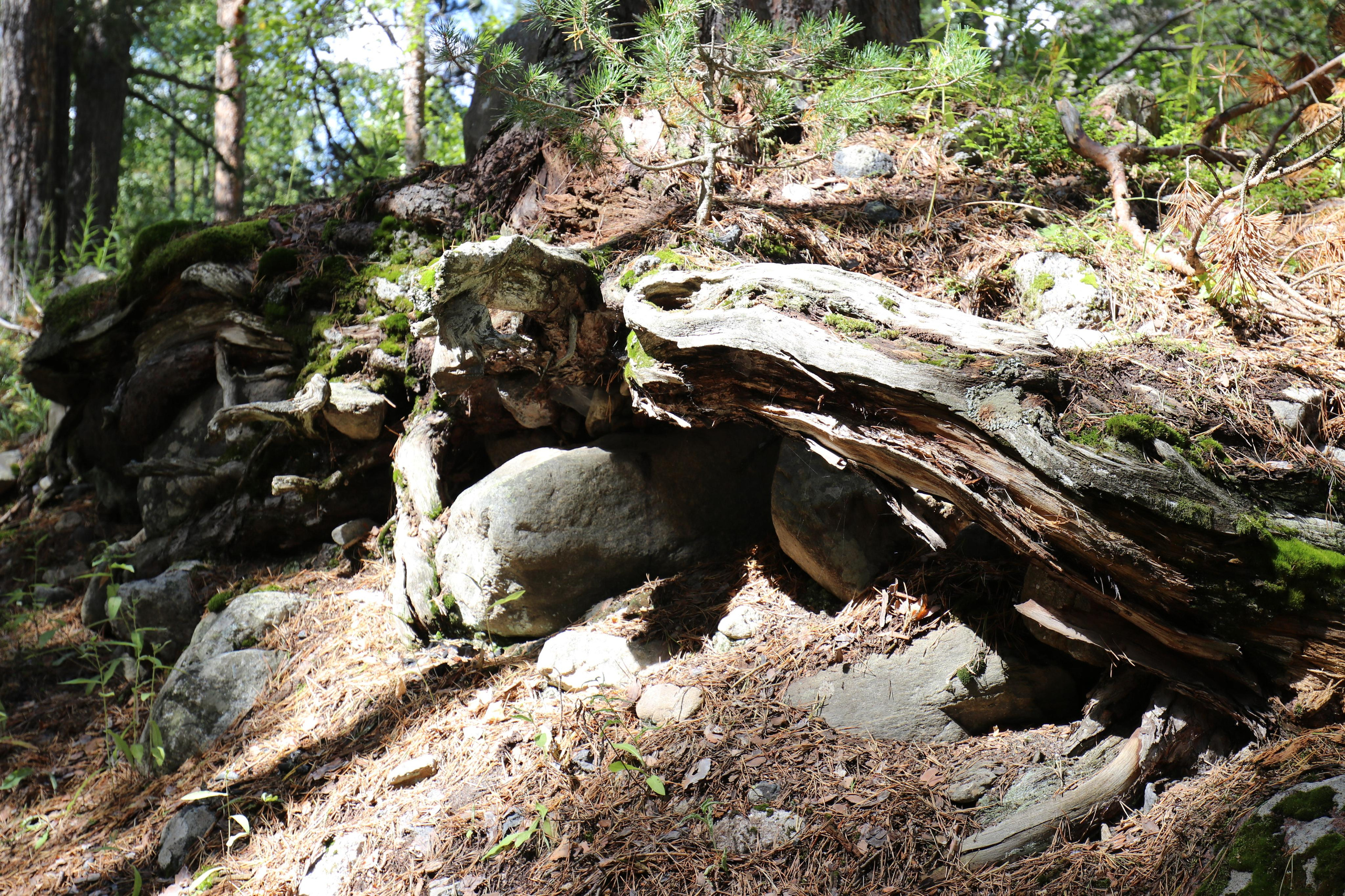 Приэльбрусье. Путешественник-фотограф из Санкт-Петербурга Татьяна Свистулина