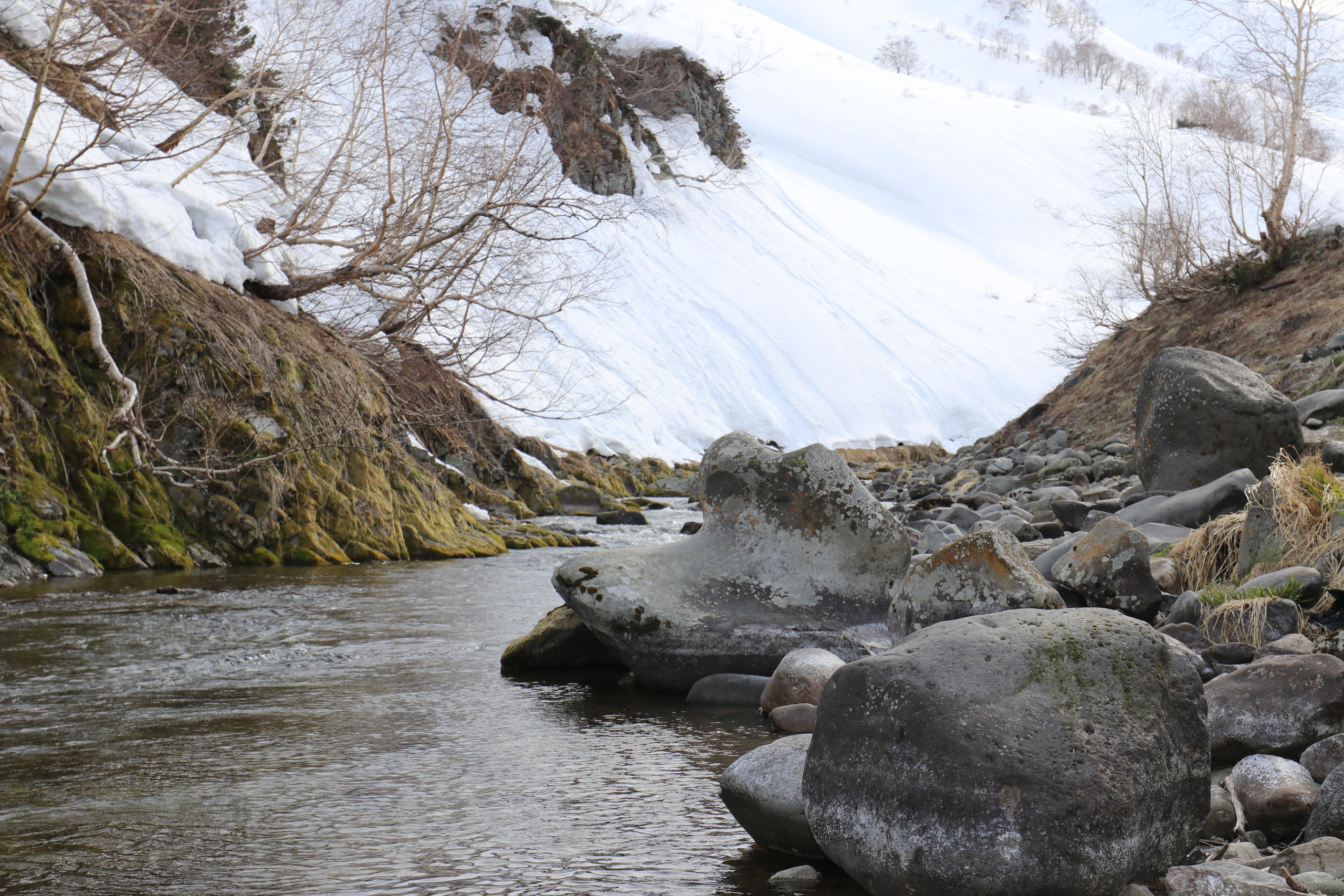 Камчатка. Май 2017. Путешественник-фотограф из Санкт-Петербурга Татьяна Свистулина