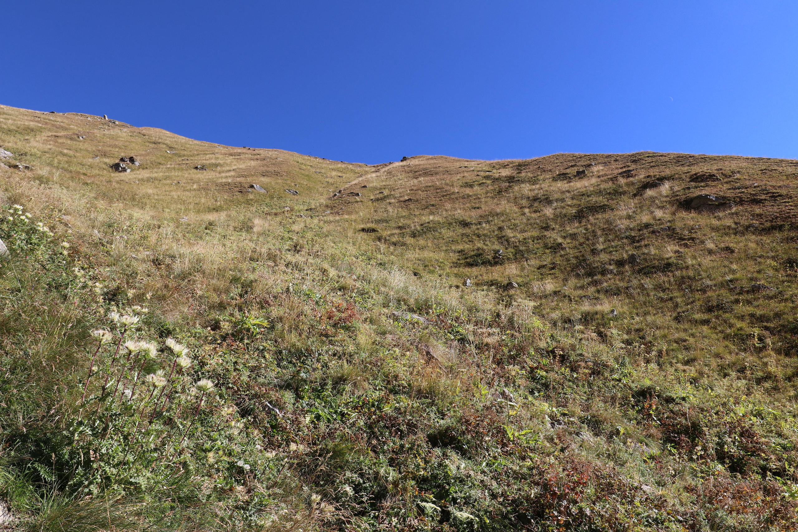 Приэльбрусье. Путешественник-фотограф из Санкт-Петербурга Татьяна Свистулина