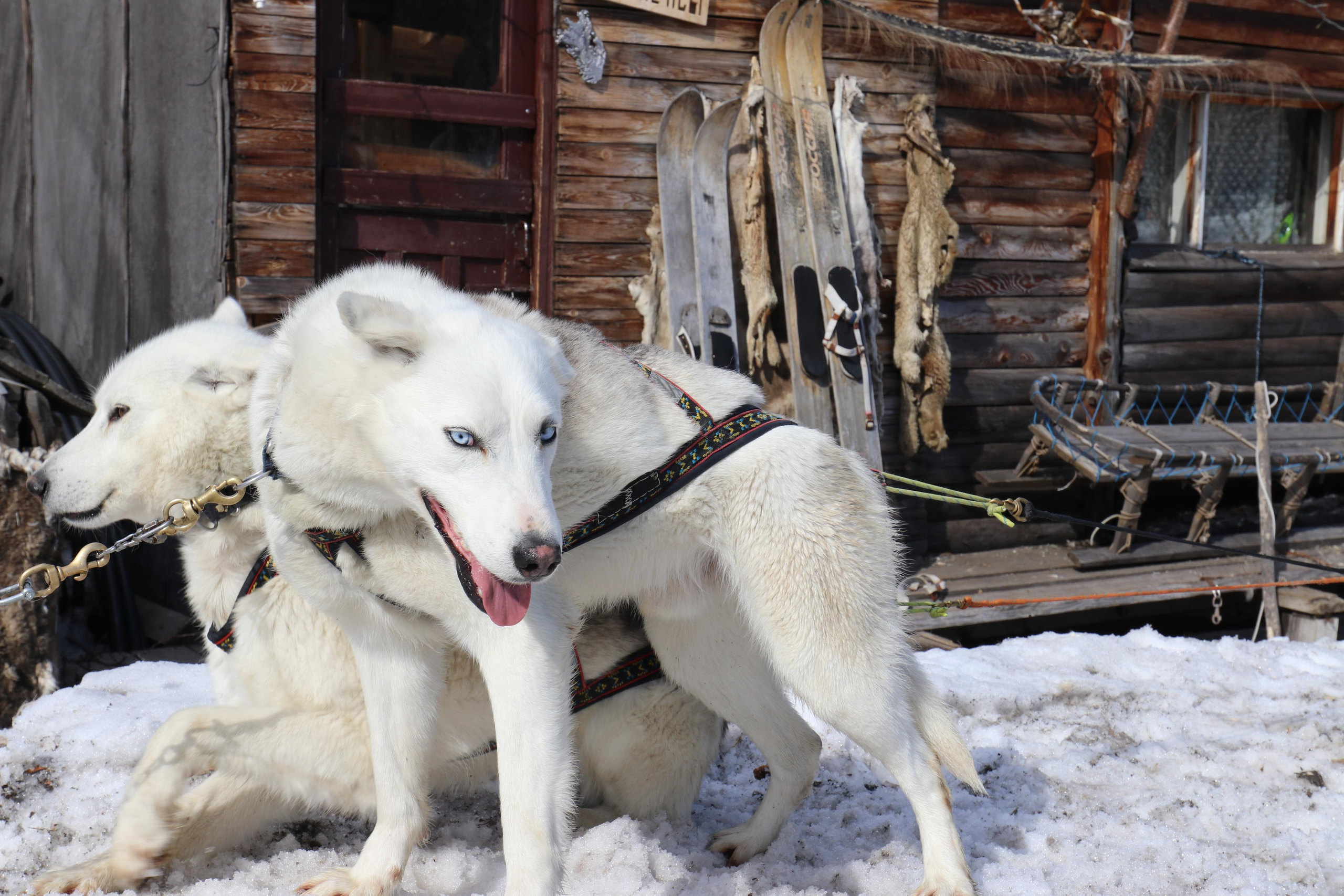 К старту готовы)