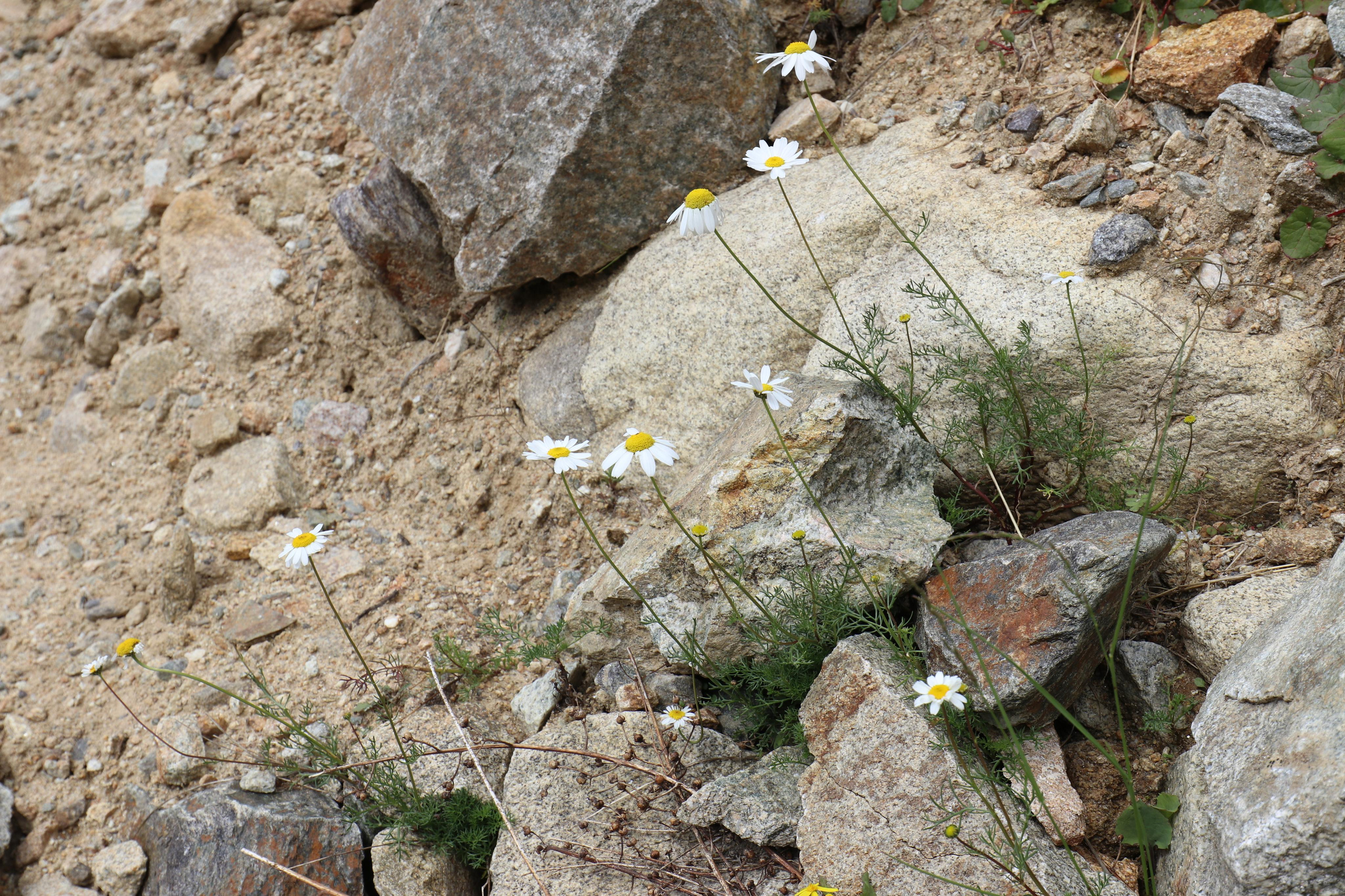 Приэльбрусье. Путешественник-фотограф из Санкт-Петербурга Татьяна Свистулина
