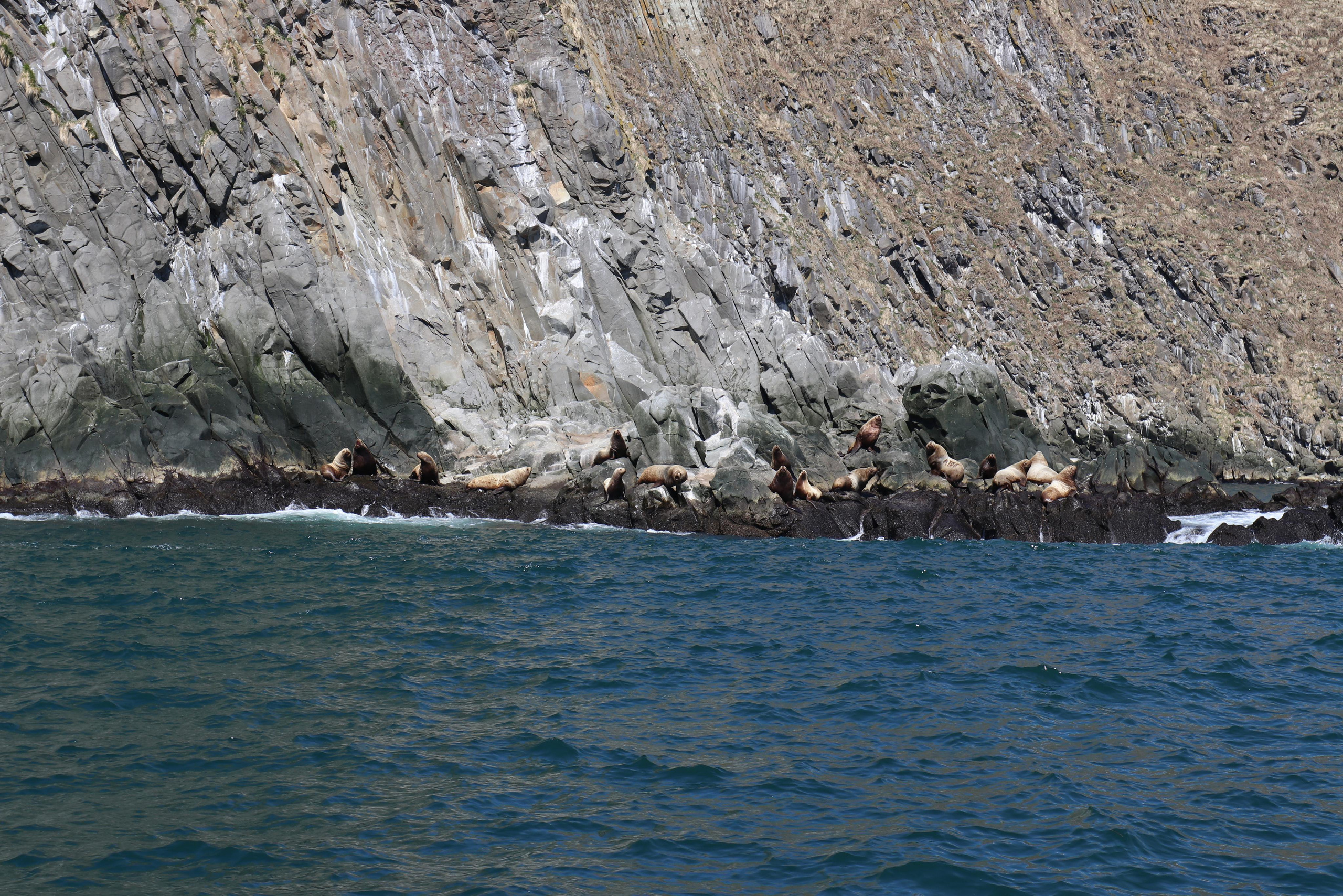 Камчатка. Май 2017. Путешественник-фотограф из Санкт-Петербурга Татьяна Свистулина