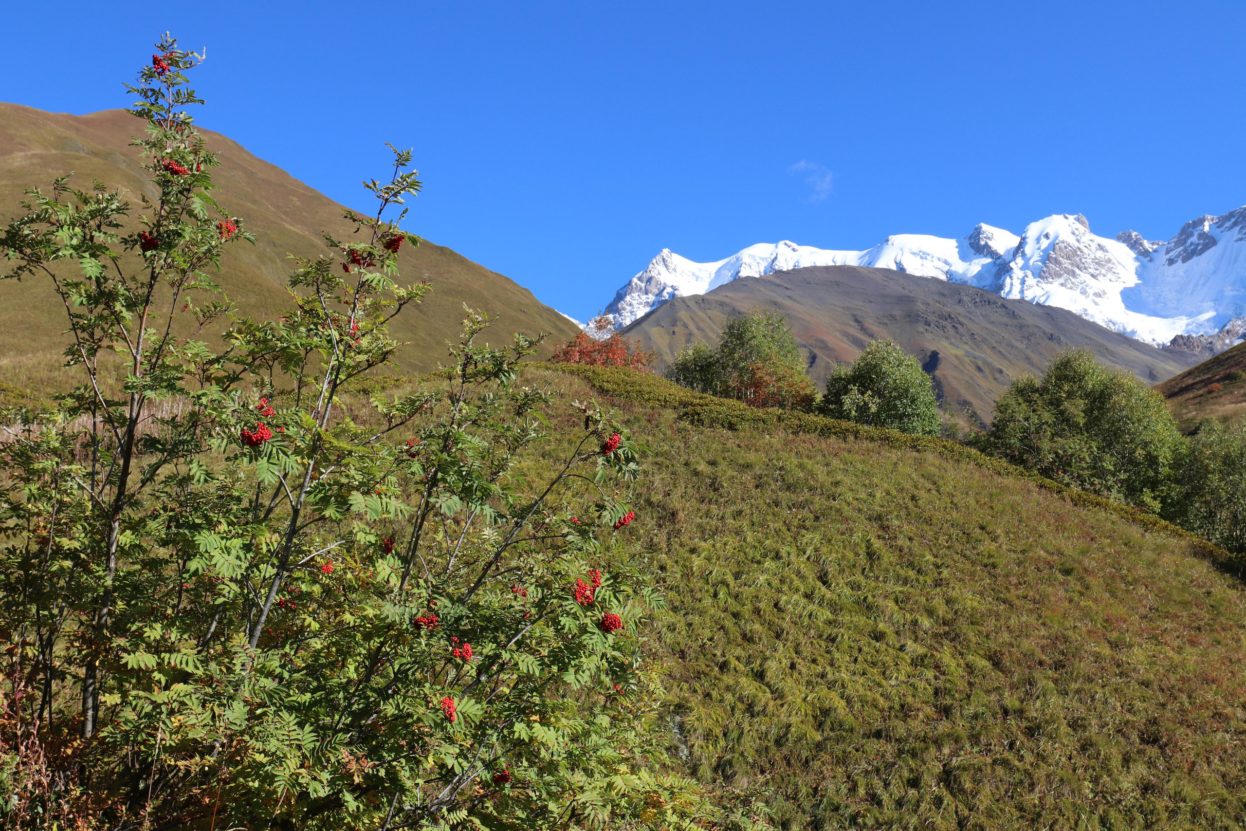 Грузия. Сванетия. Путешественник-фотограф из Санкт-Петербурга Татьяна Свистулина