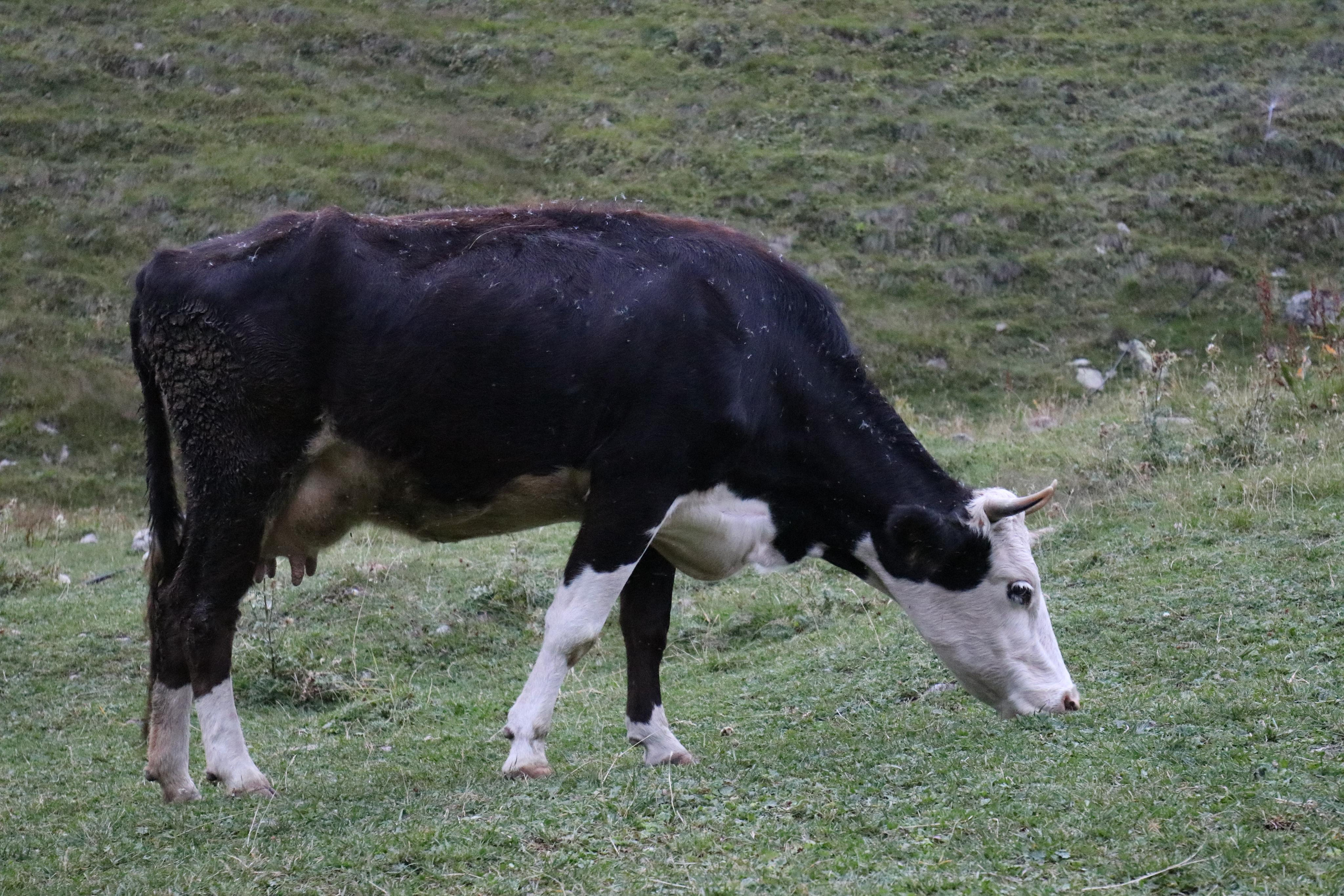 Приэльбрусье. Путешественник-фотограф из Санкт-Петербурга Татьяна Свистулина