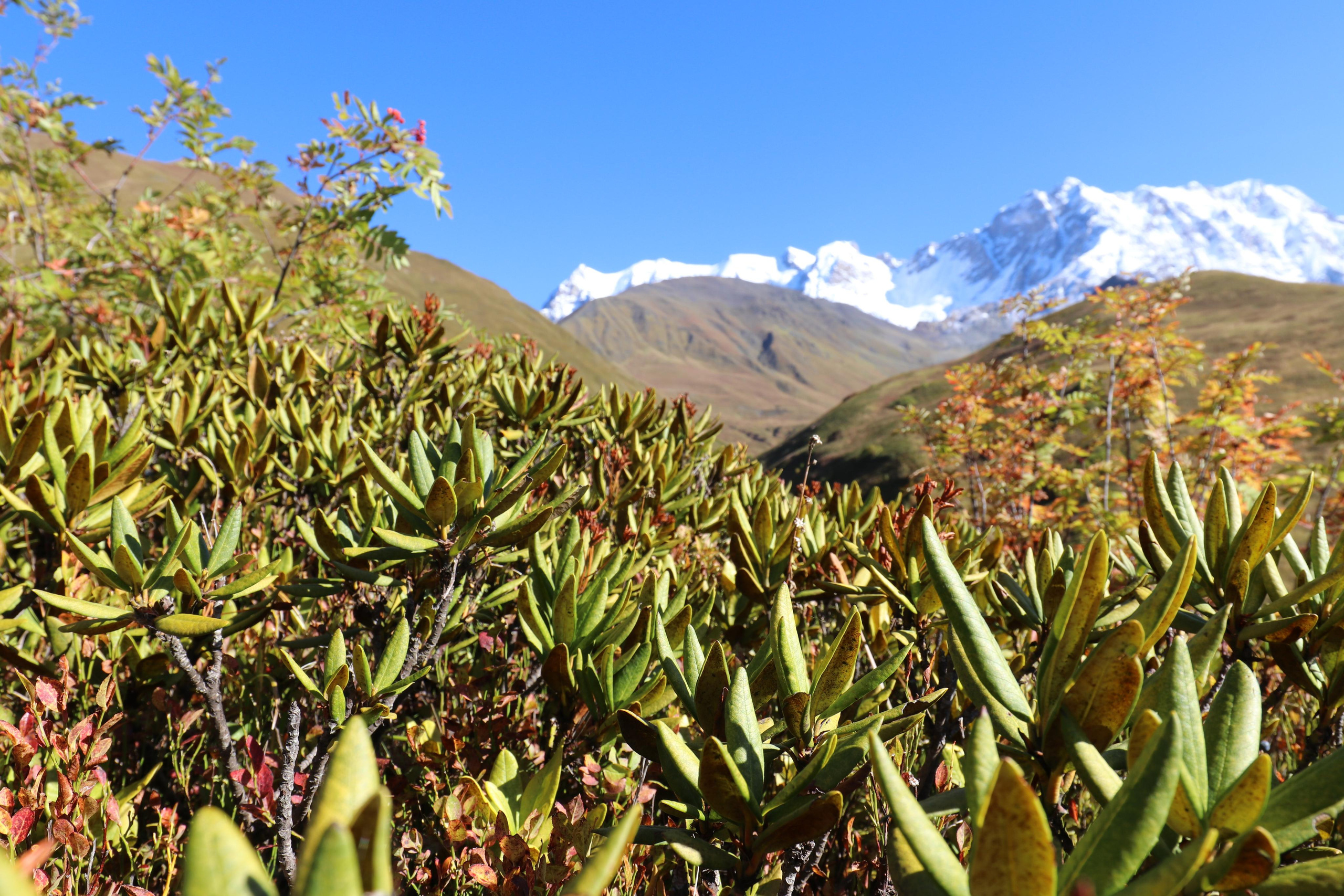 Грузия. Сванетия. Путешественник-фотограф из Санкт-Петербурга Татьяна Свистулина