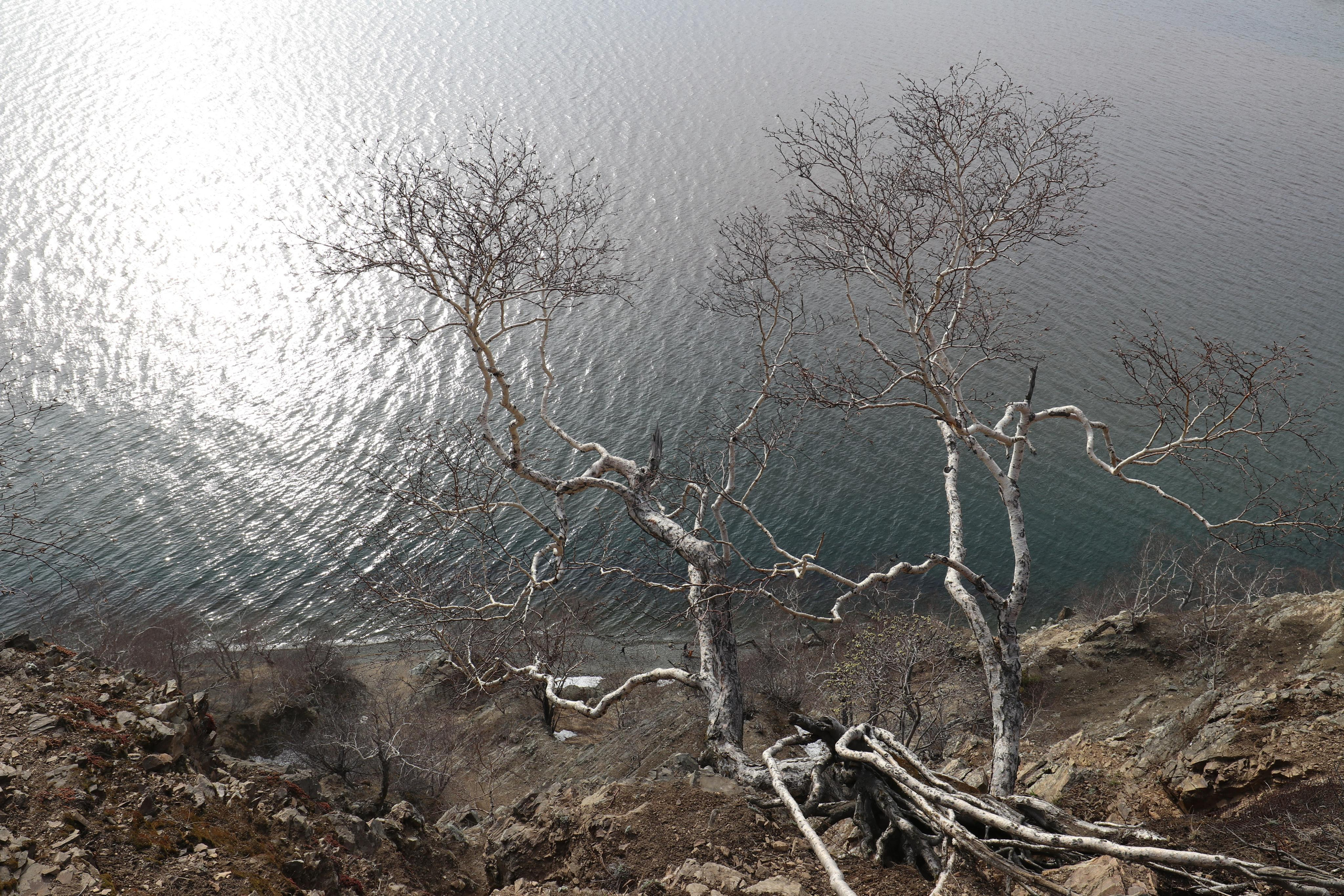 Камчатка. Май 2017. Путешественник-фотограф из Санкт-Петербурга Татьяна Свистулина