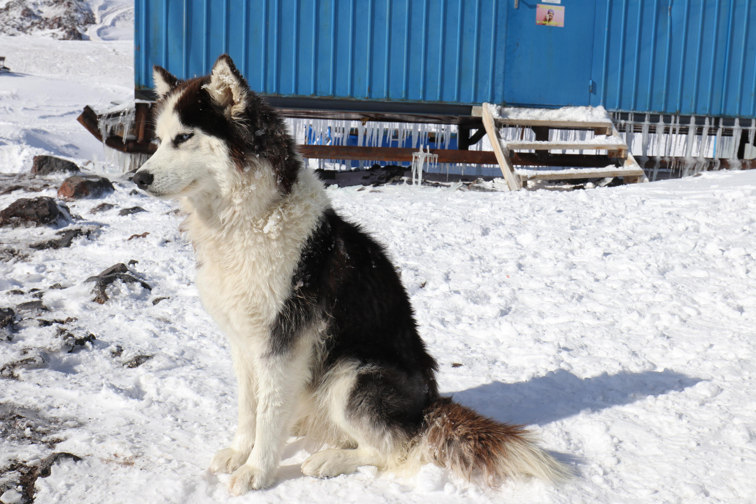 Приэльбрусье. Путешественник-фотограф из Санкт-Петербурга Татьяна Свистулина