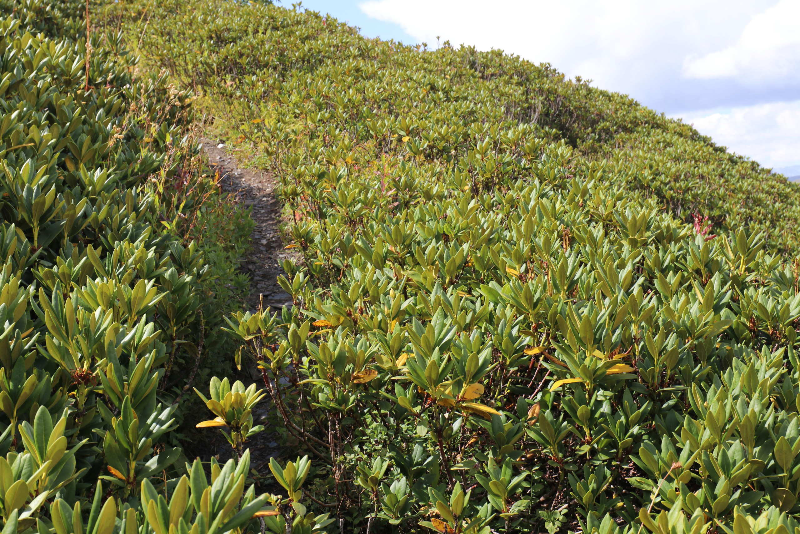 Грузия. Сванетия. Путешественник-фотограф из Санкт-Петербурга Татьяна Свистулина