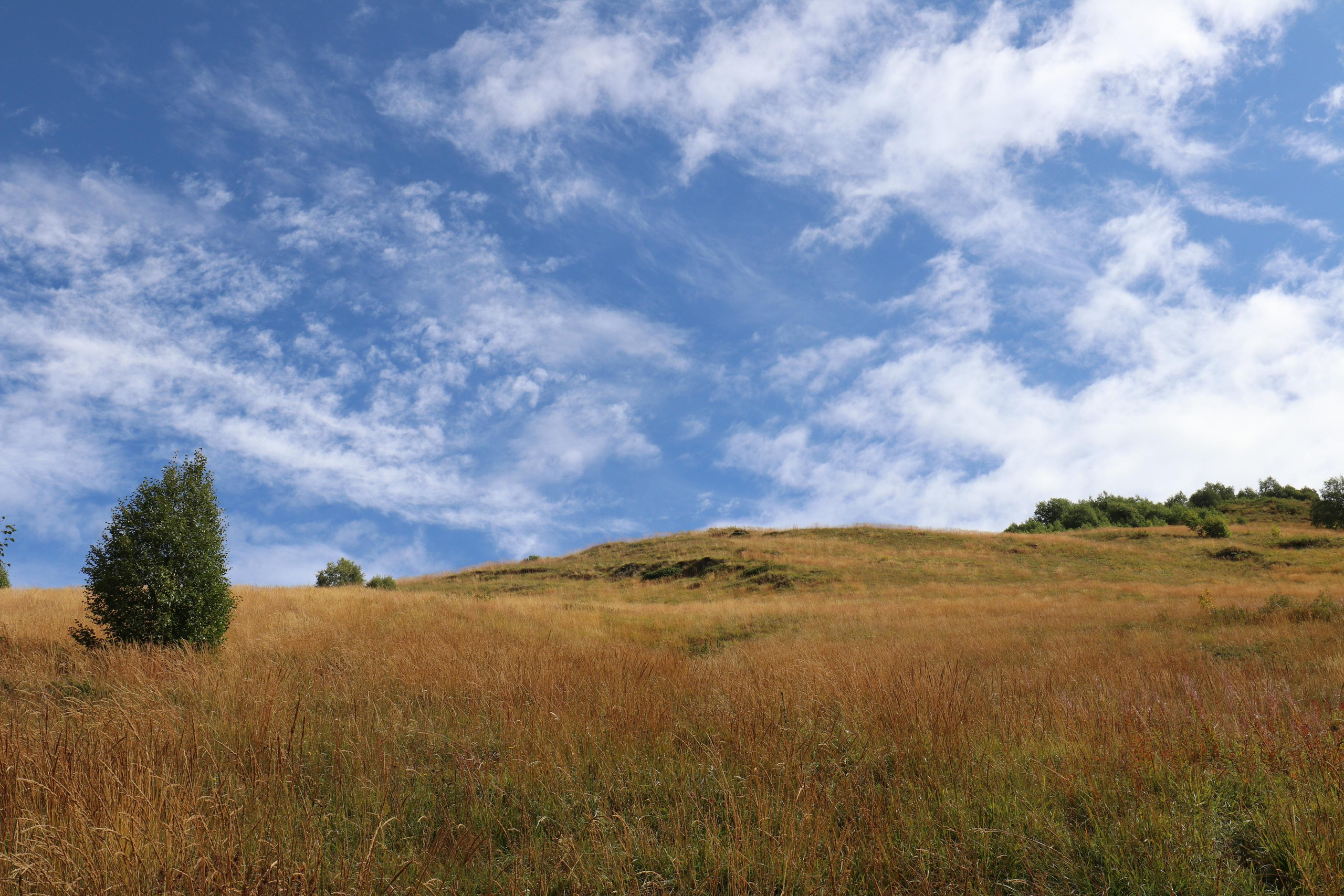 Грузия. Сванетия. Путешественник-фотограф из Санкт-Петербурга Татьяна Свистулина