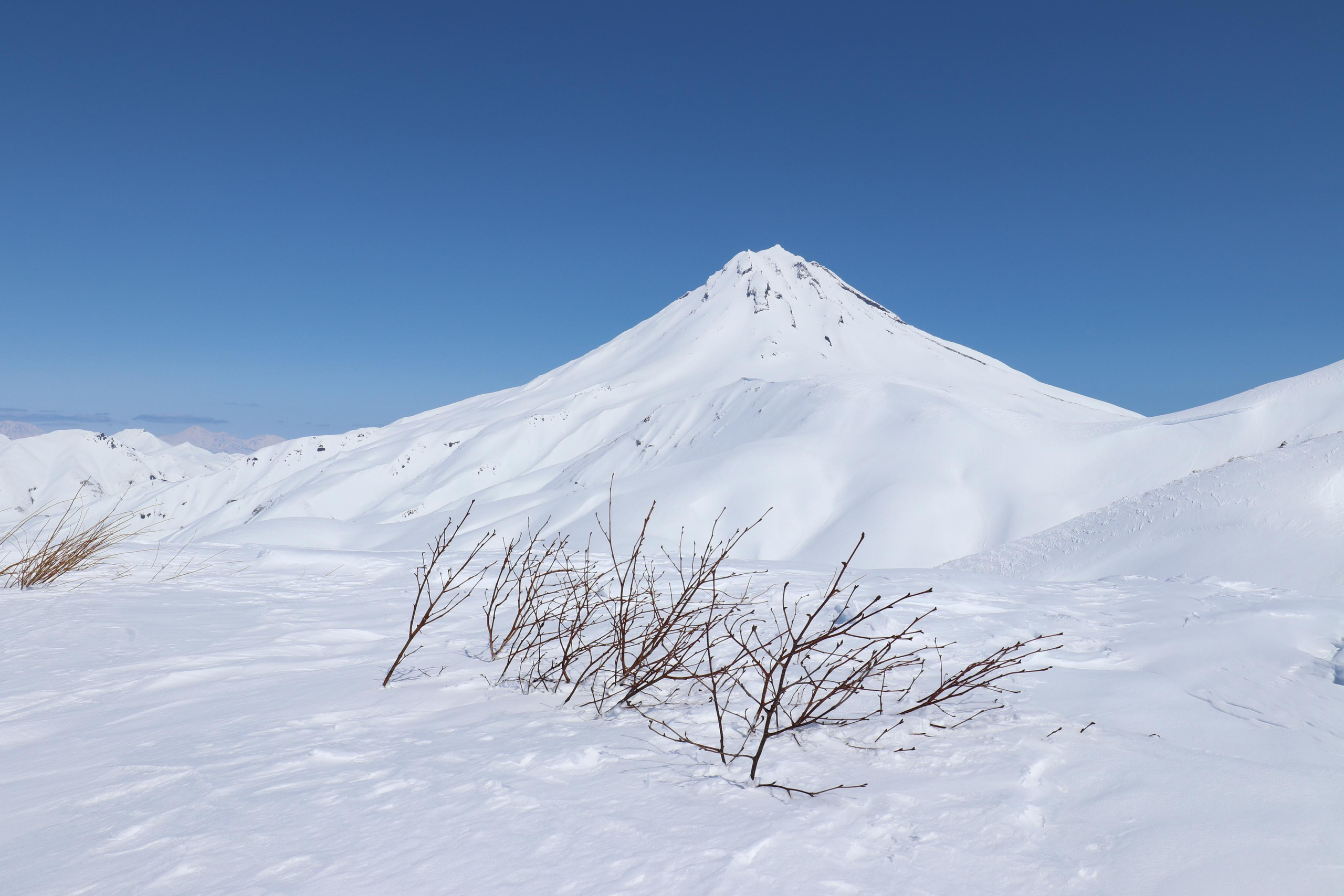 Это не трава, это верхушки деревьев