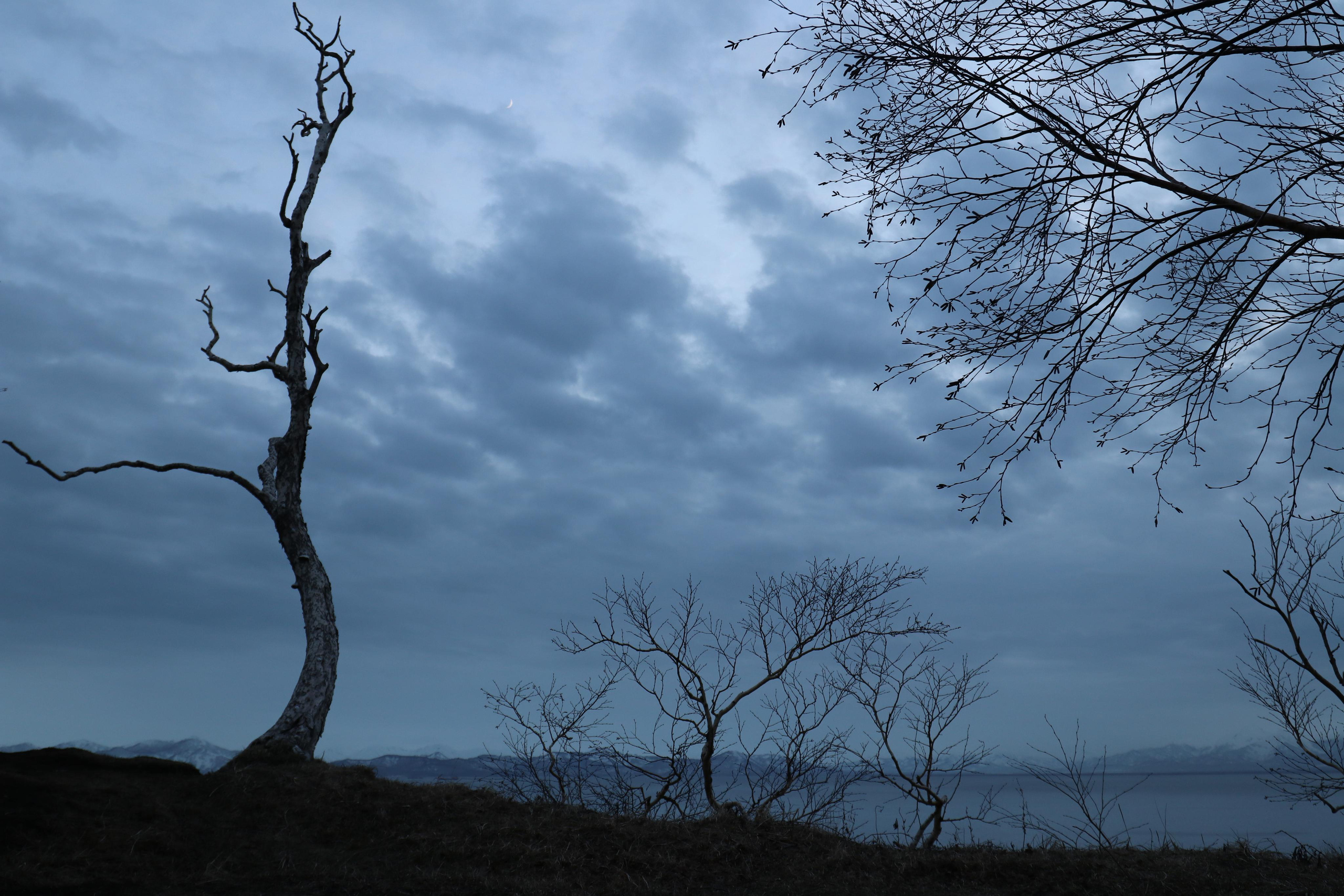 Камчатка. Май 2017. Путешественник-фотограф из Санкт-Петербурга Татьяна Свистулина