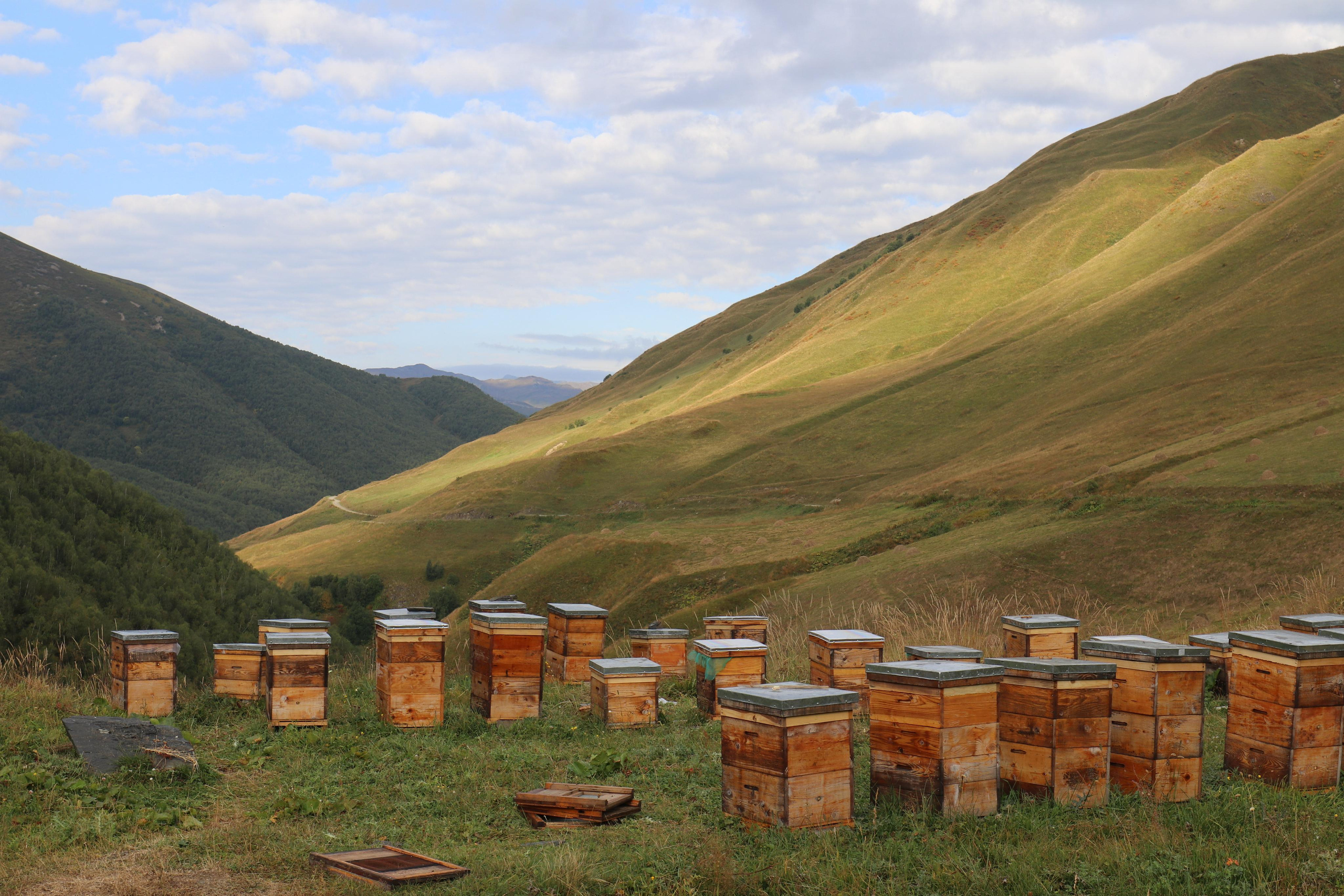 Грузия. Сванетия. Путешественник-фотограф из Санкт-Петербурга Татьяна Свистулина