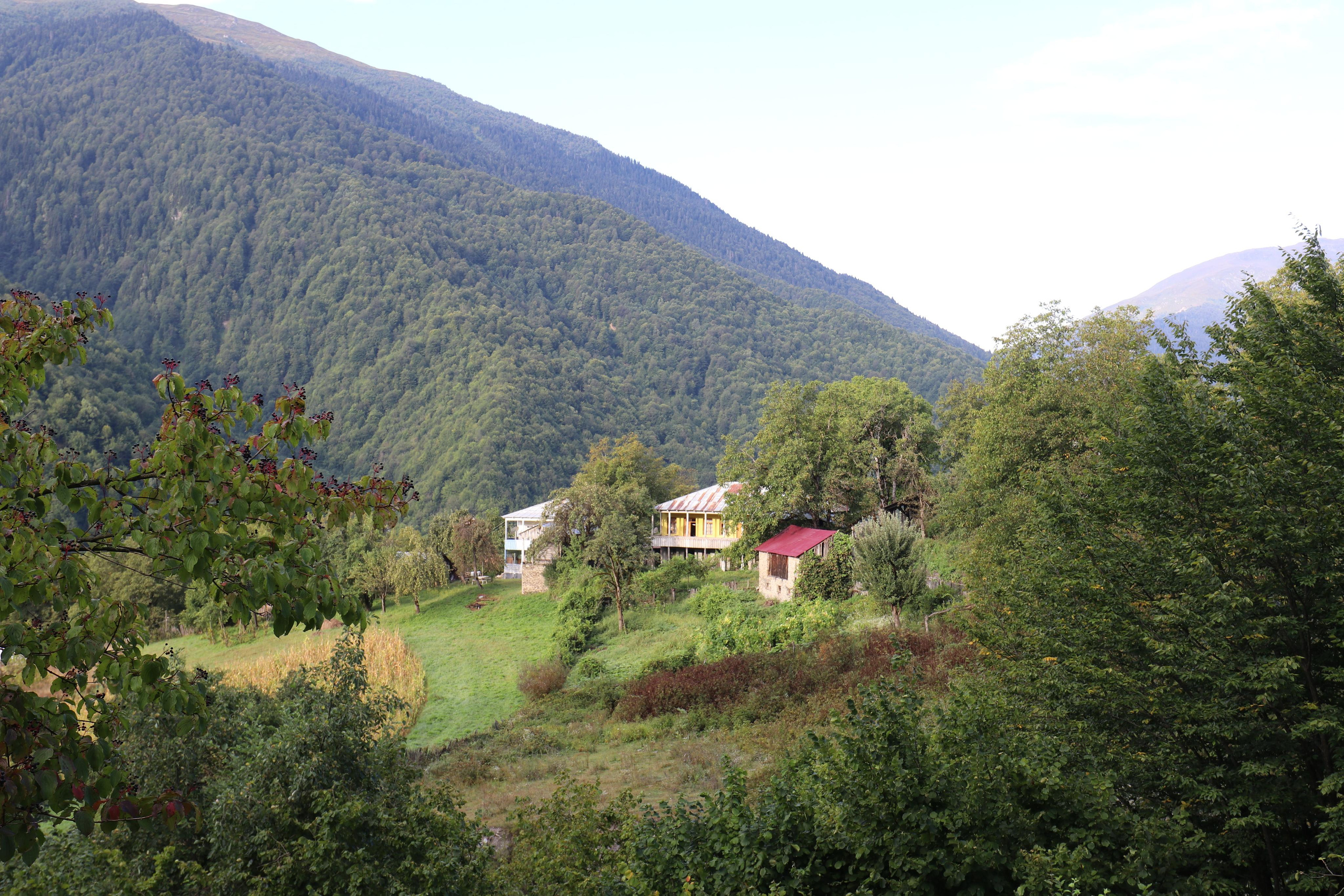 п. Мами и начало пути