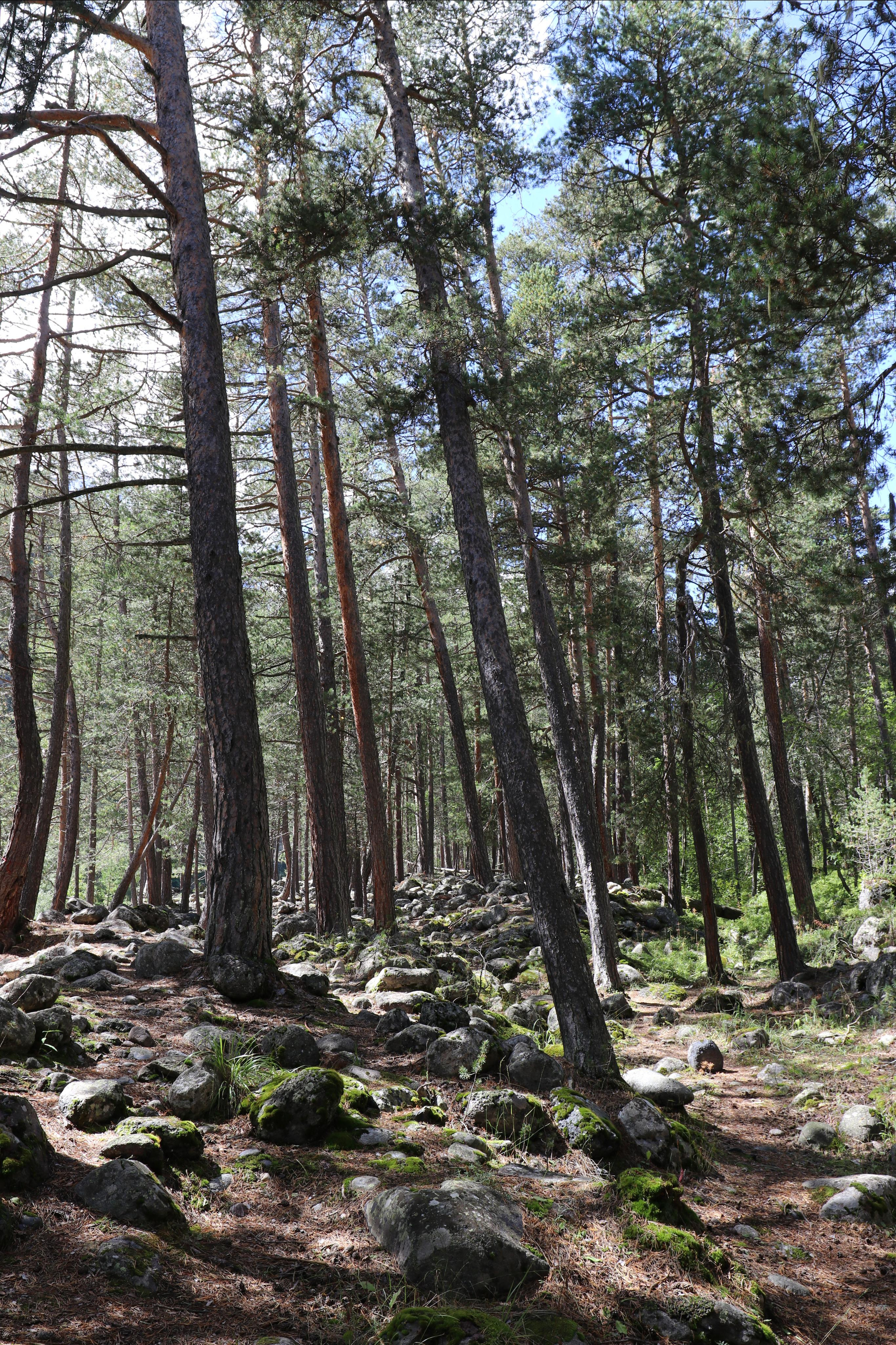 Приэльбрусье. Путешественник-фотограф из Санкт-Петербурга Татьяна Свистулина