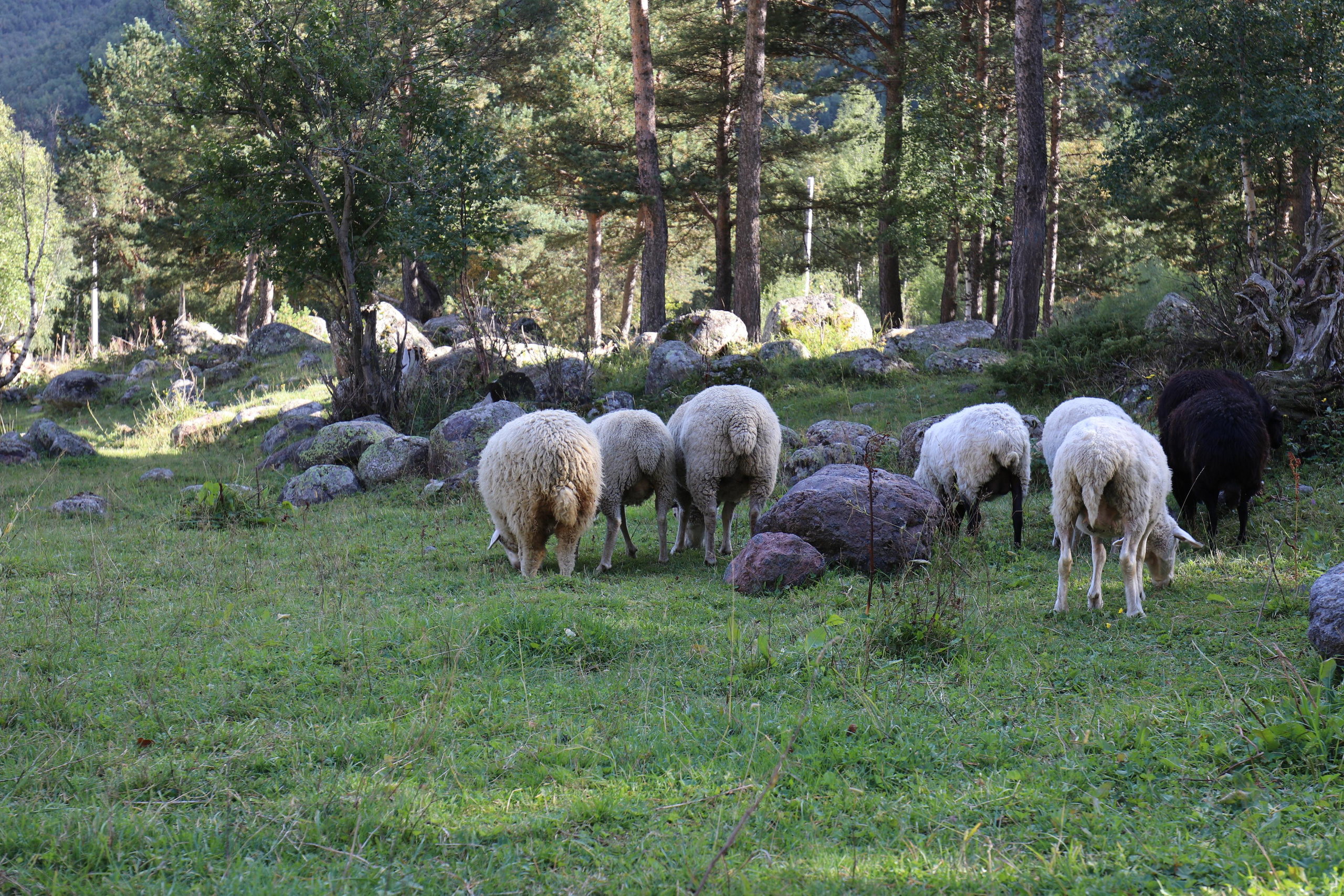 Приэльбрусье. Путешественник-фотограф из Санкт-Петербурга Татьяна Свистулина