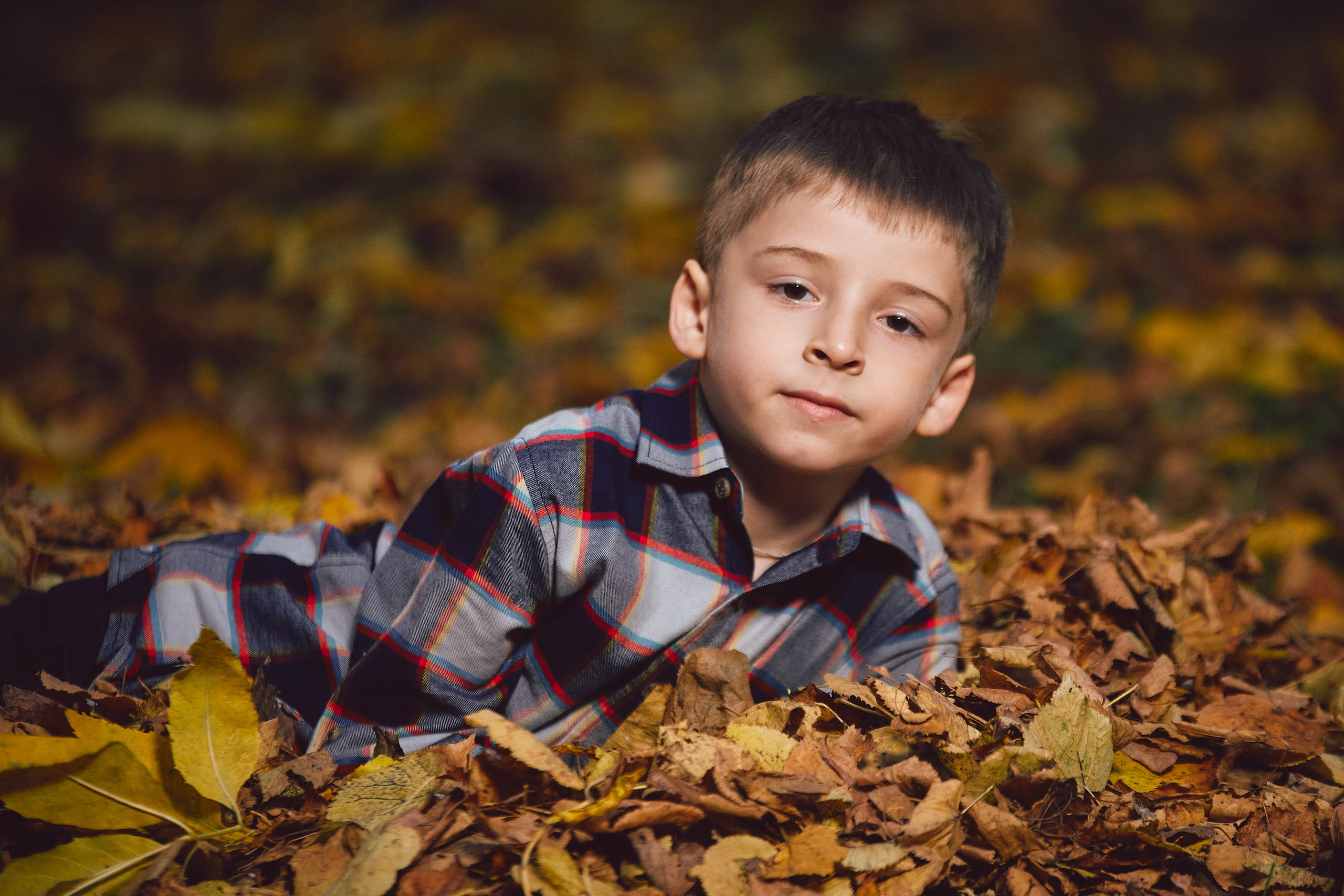 Осенняя фотосессия 2024. Петр Ступень. Свадебное, семейное фото и видео. Москва. Краснодар