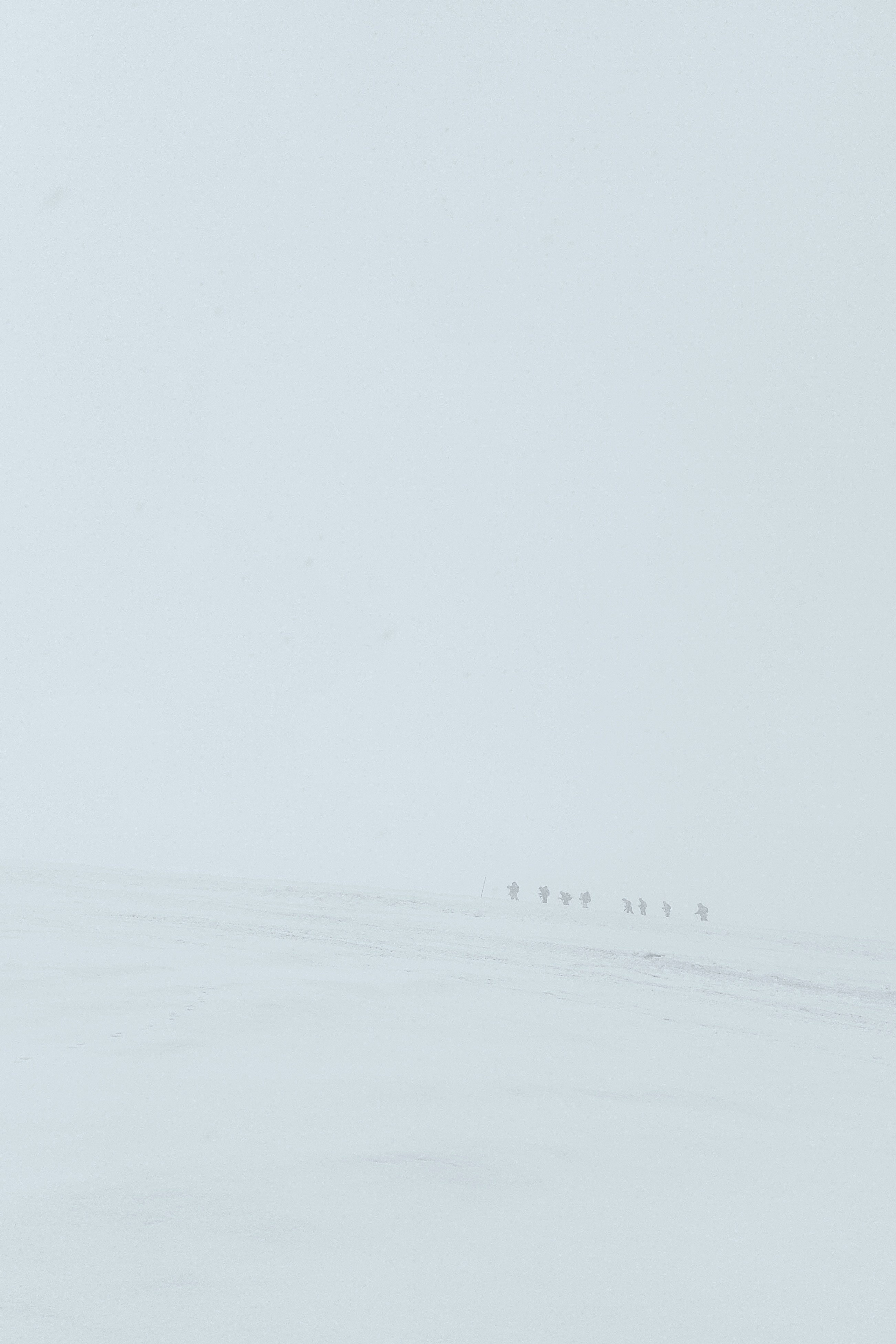 Автор: Пётр Шемягин