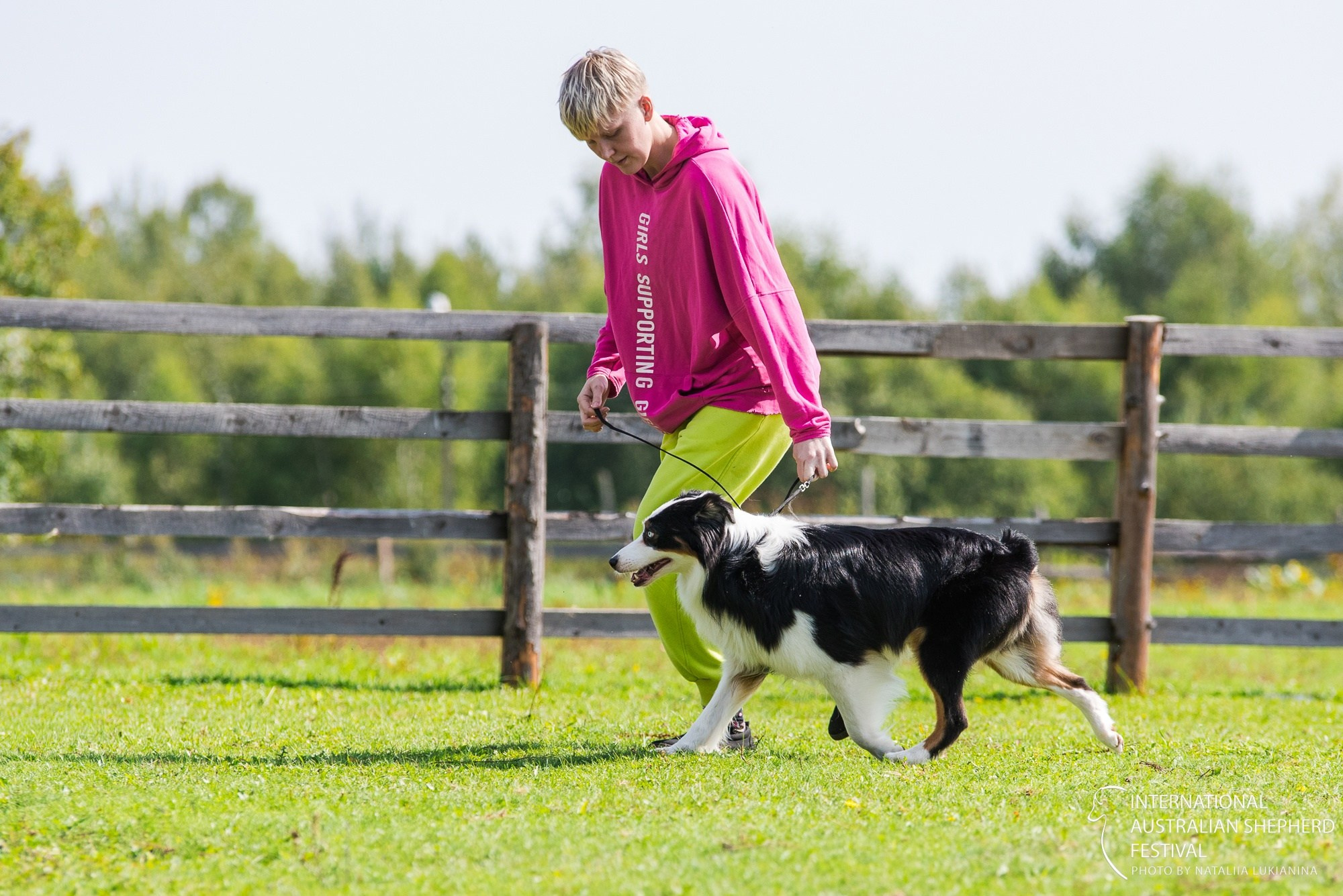 Гелий. BLGKV питомник собак