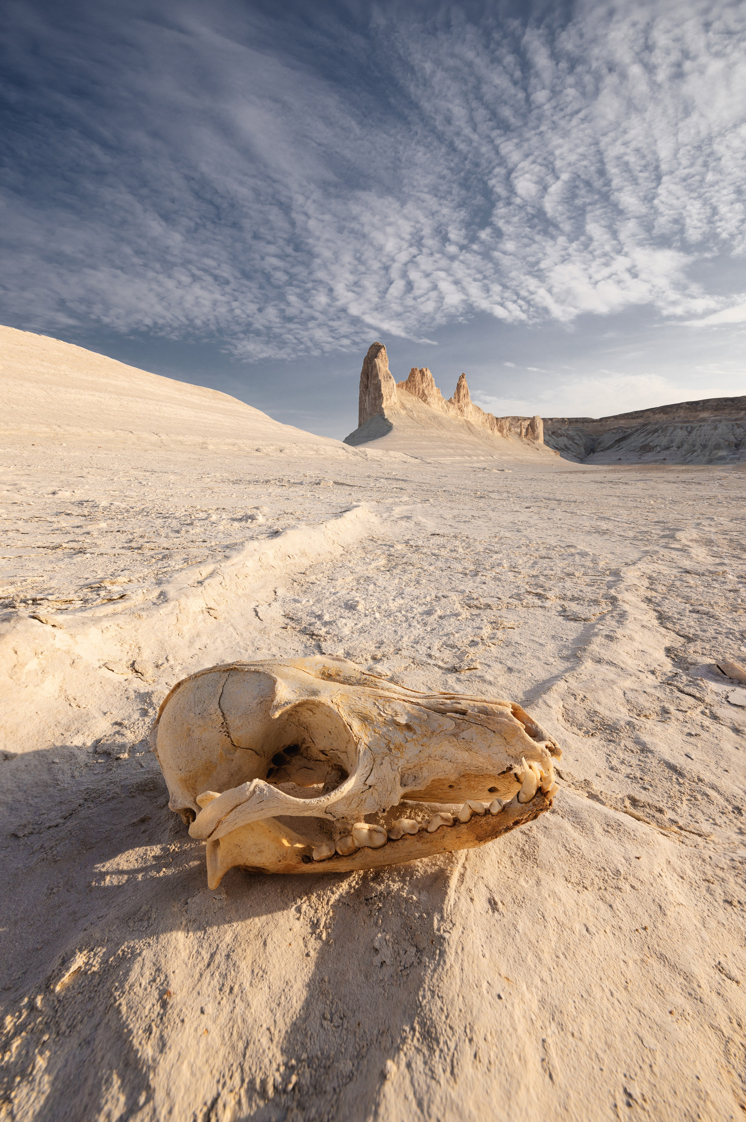 Мангистау Апрель 2025 | Фотограф Дмитрий Купрацевич. Дмитрий Купрацевич профессиональный пейзажный и travel-фотограф