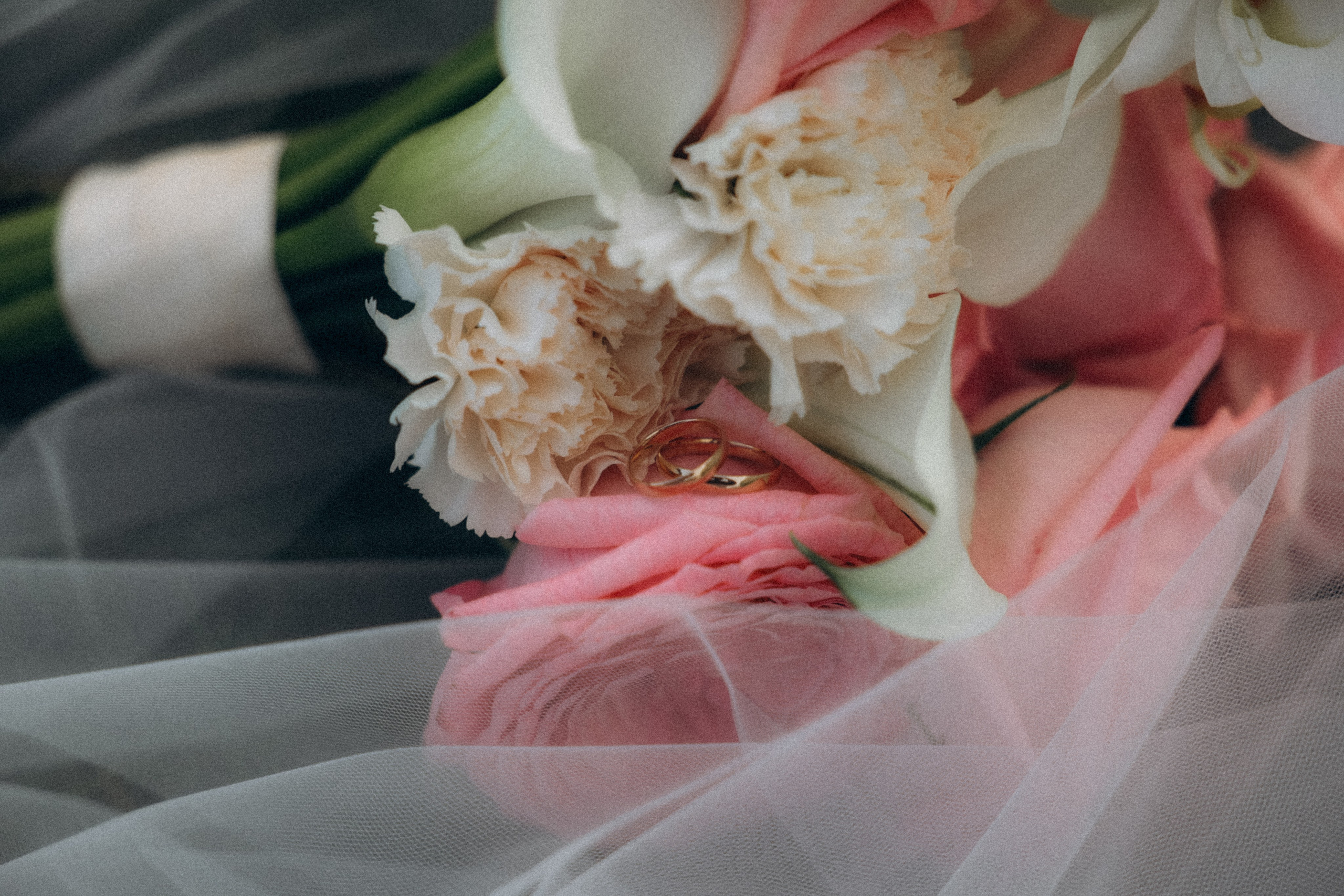 Эдуард и Софья. Свадебный и Семейный Фотограф в Гатчине и Санкт-Петербурге Виктория