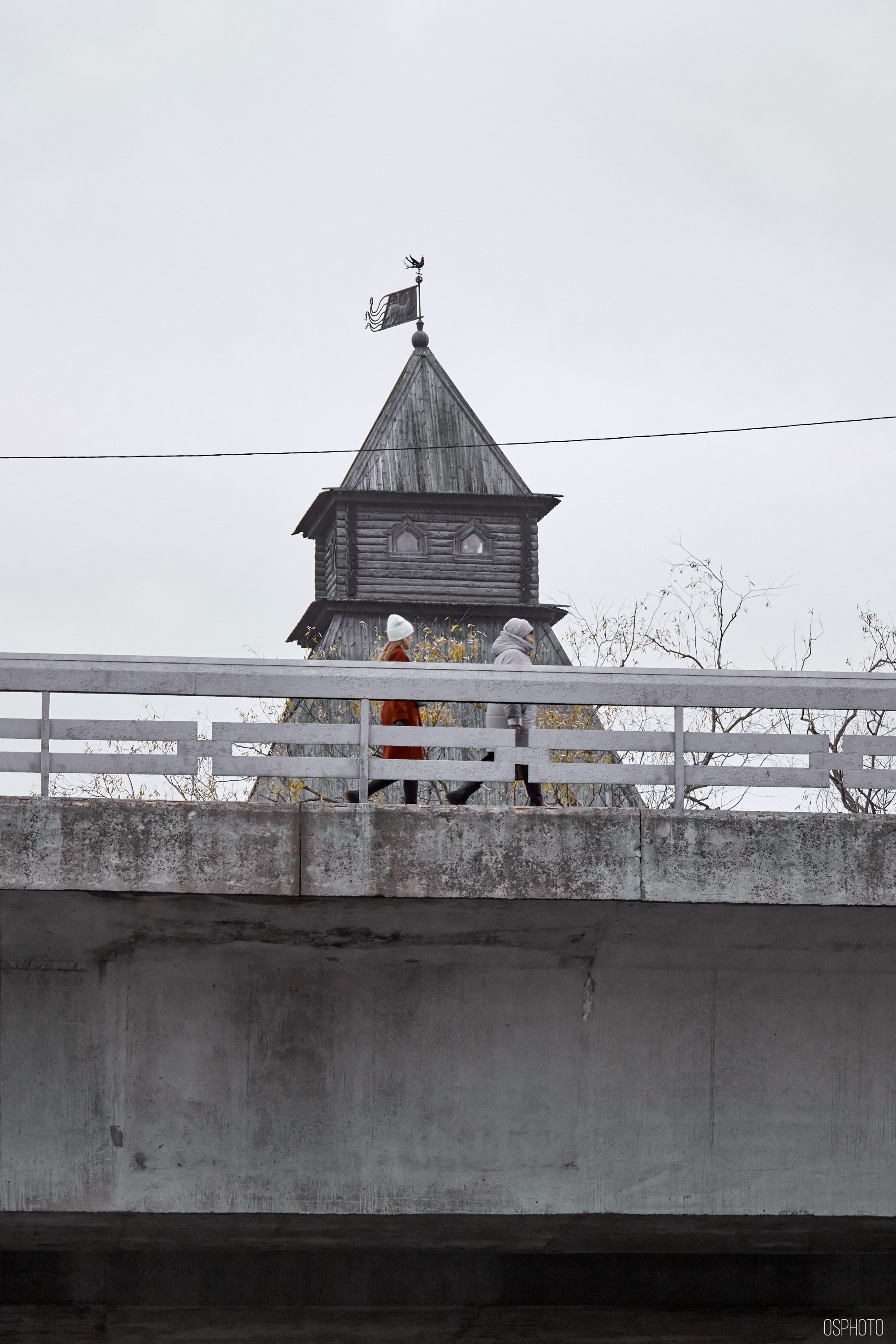 Псков. Ноябрь. Фотографъ Сергѣевъ. Поймать мгновеніе