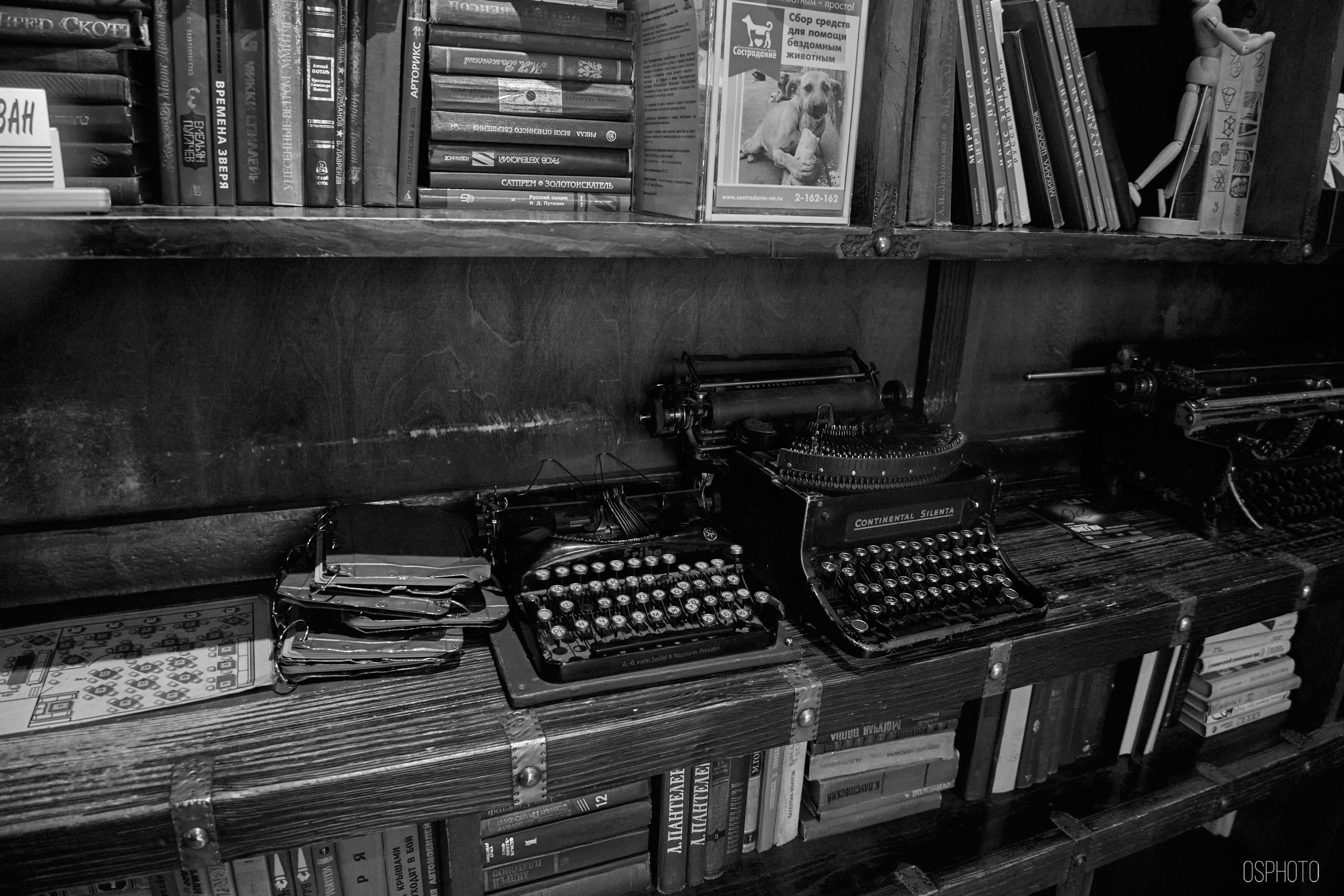 Нижний Новгород. Фотографъ Сергѣевъ. Поймать мгновеніе