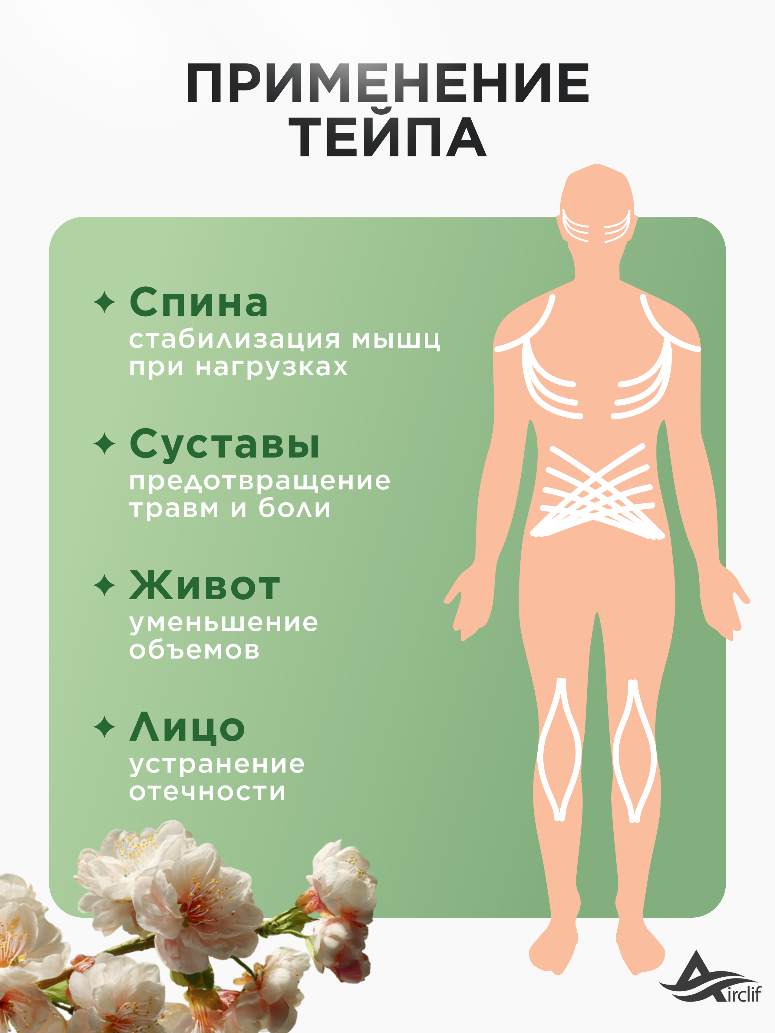 Инфографика Даша Б. Веб-дизайнер Москва