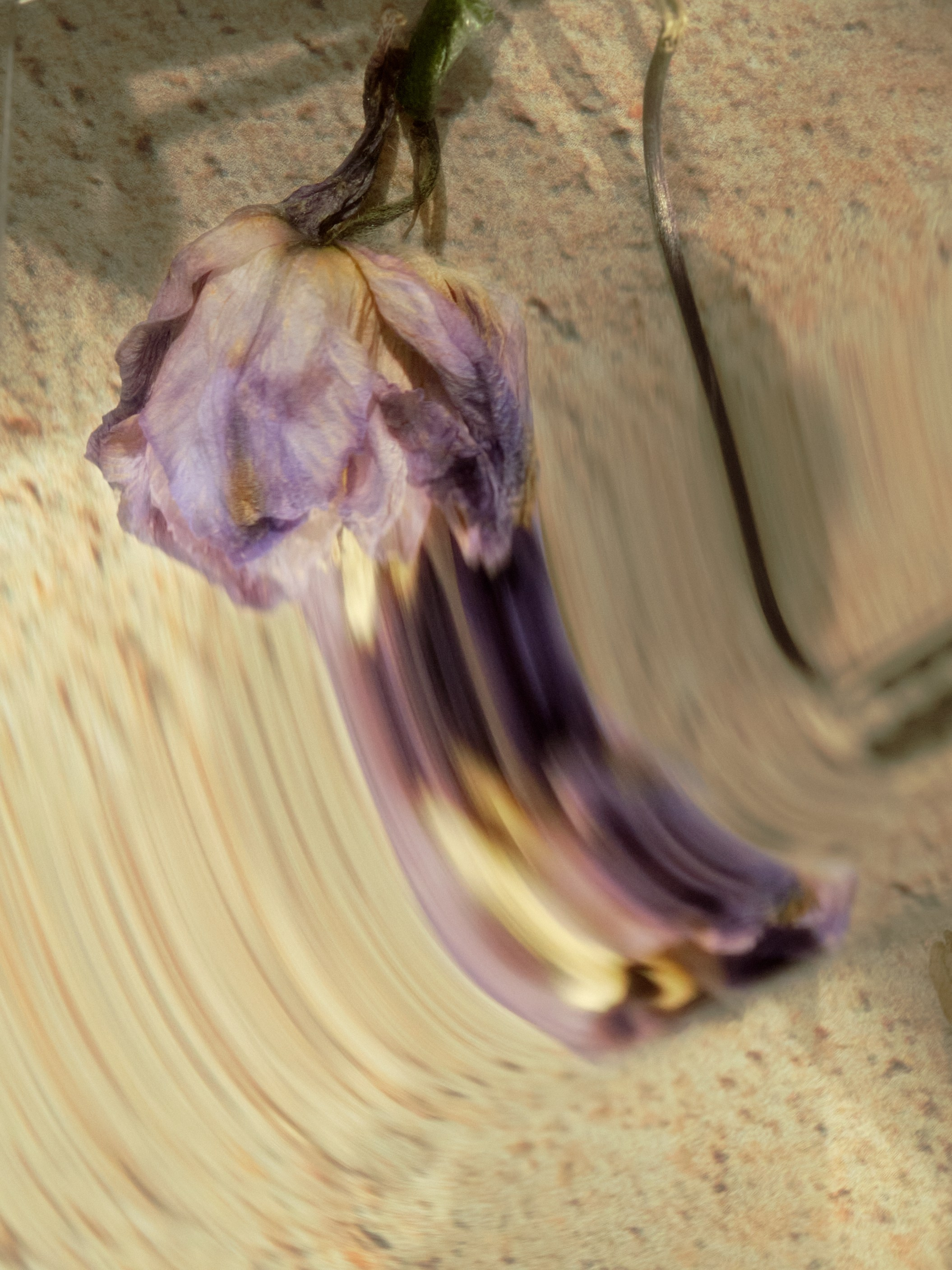 Предметный фотограф | Санкт-Петербург | Кристи Хареба