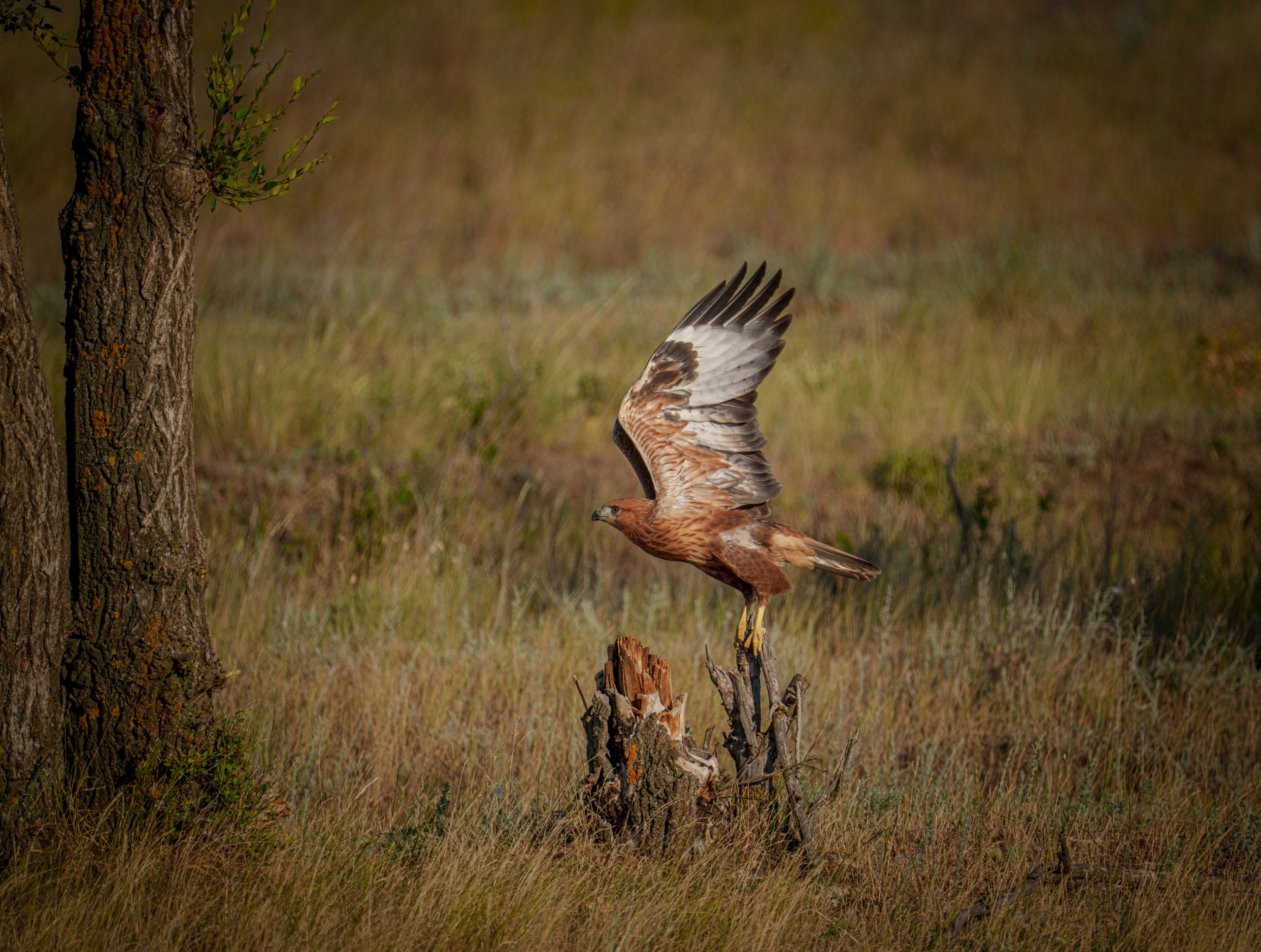 Учебный фототур на Эльтон. Июнь