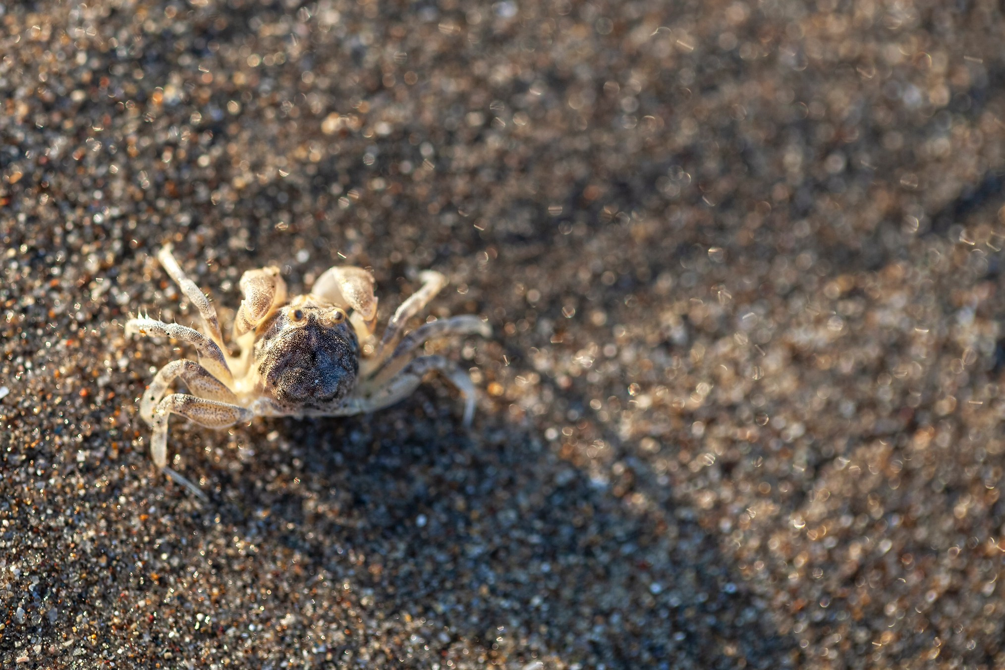 Фактуры. High-quality interior photos for your home, office, hotel