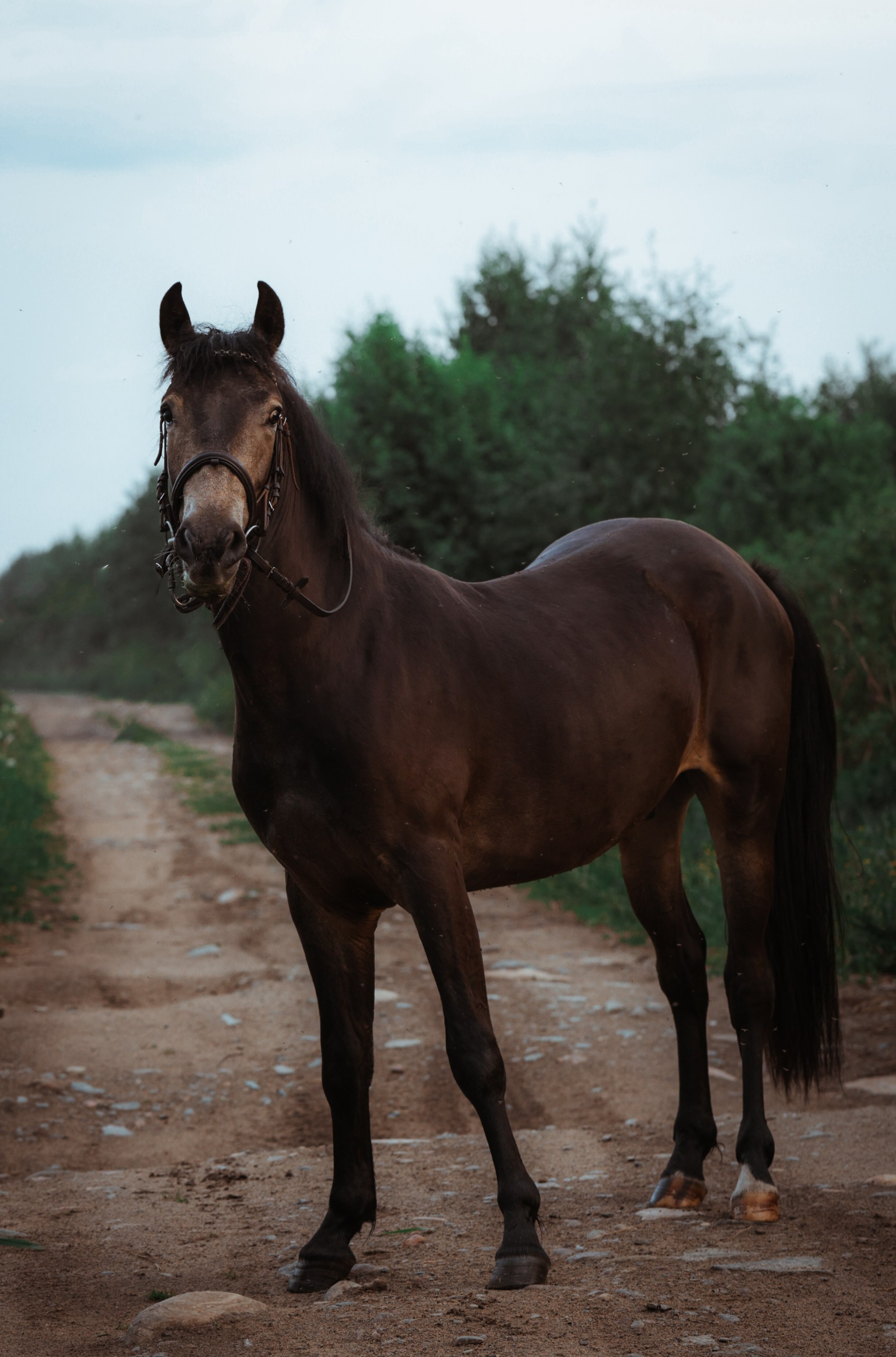 Туман. Фотограф Варвара Ермоленко