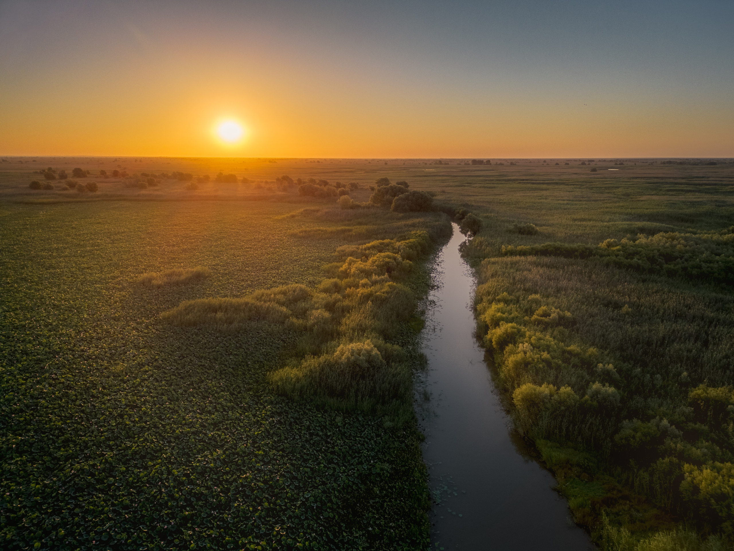 Барханы и лотосы. Июль–Август