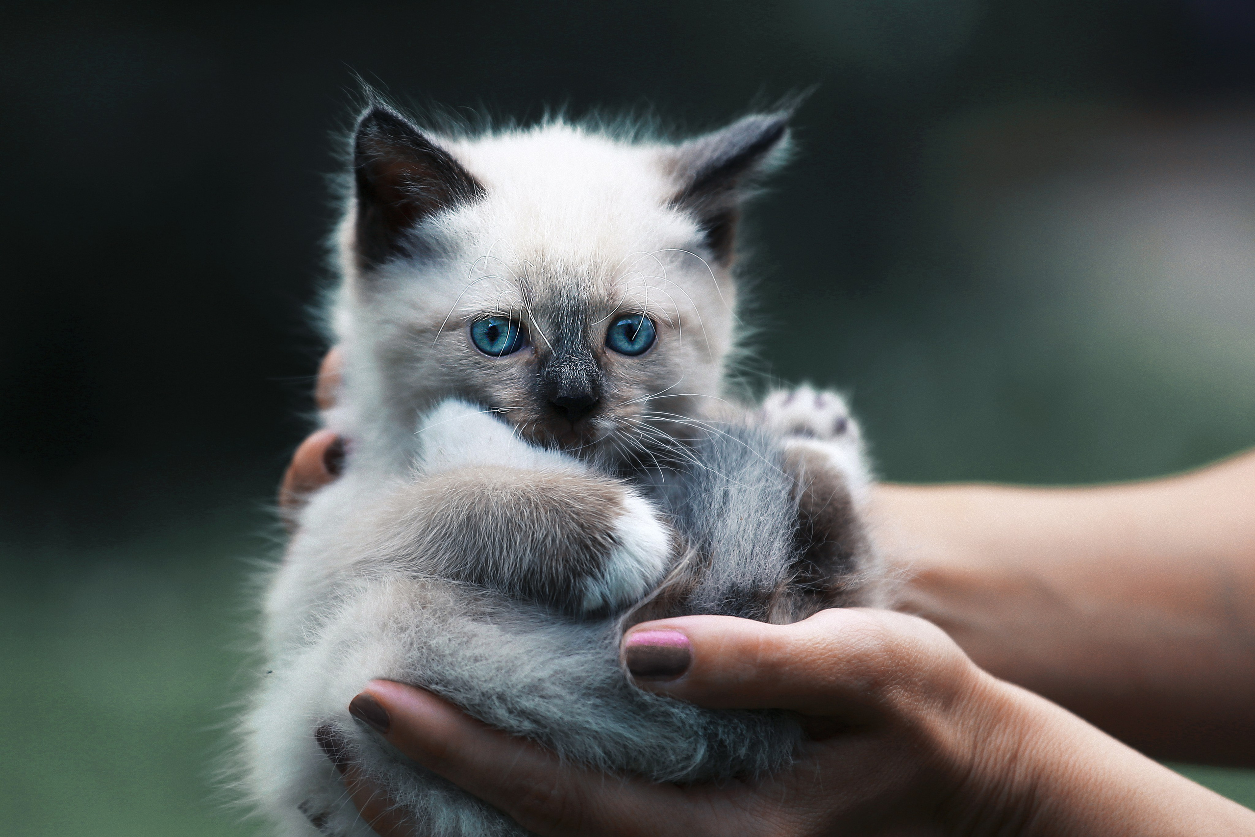 Фотошкола и фотокурсы в Абакане