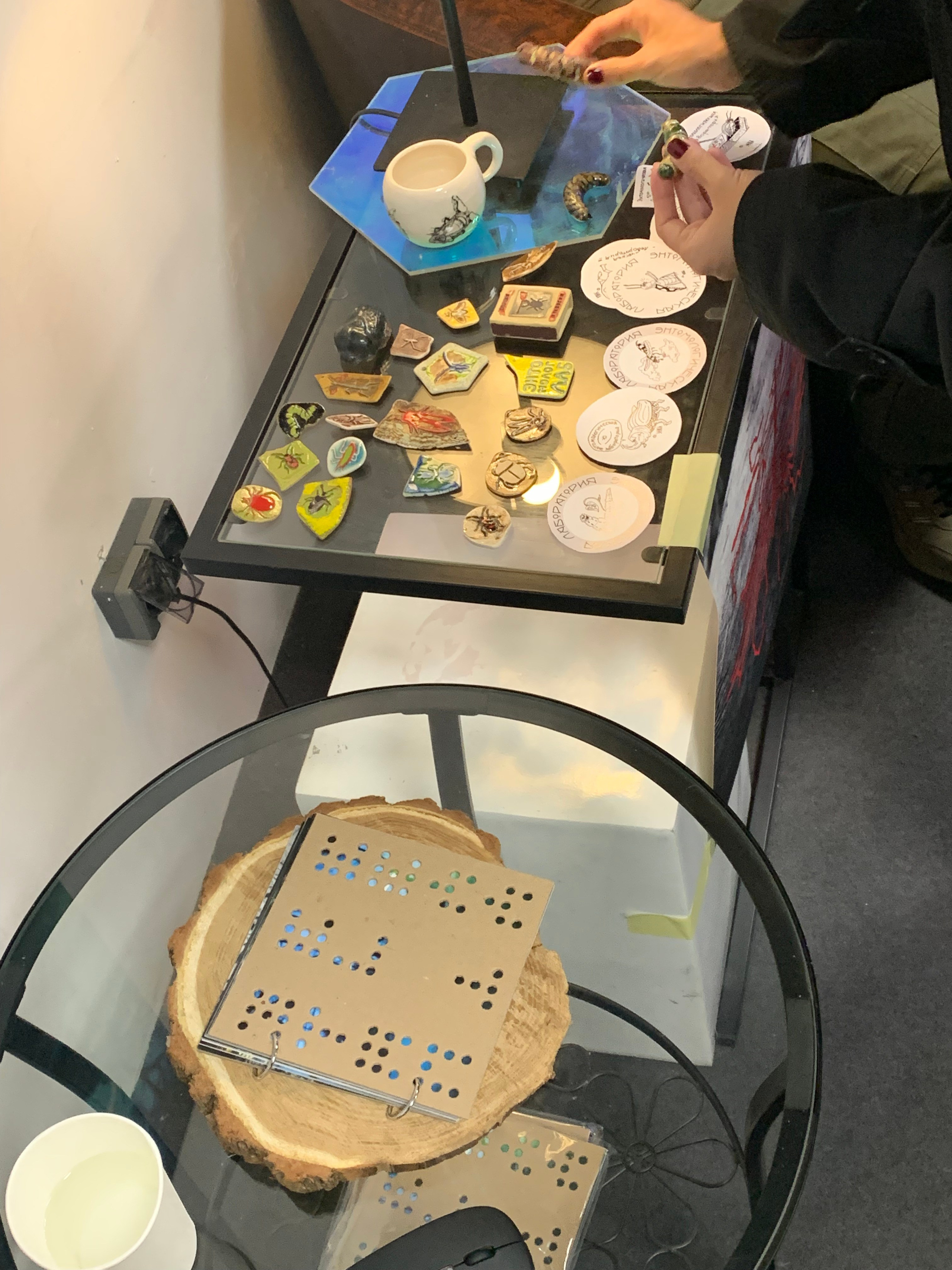 Презентация фотокниги «Beetlemania», 21.10.2023, г. Ростов-на-Дону, независимый книжный «В порядке». Лера Круглова