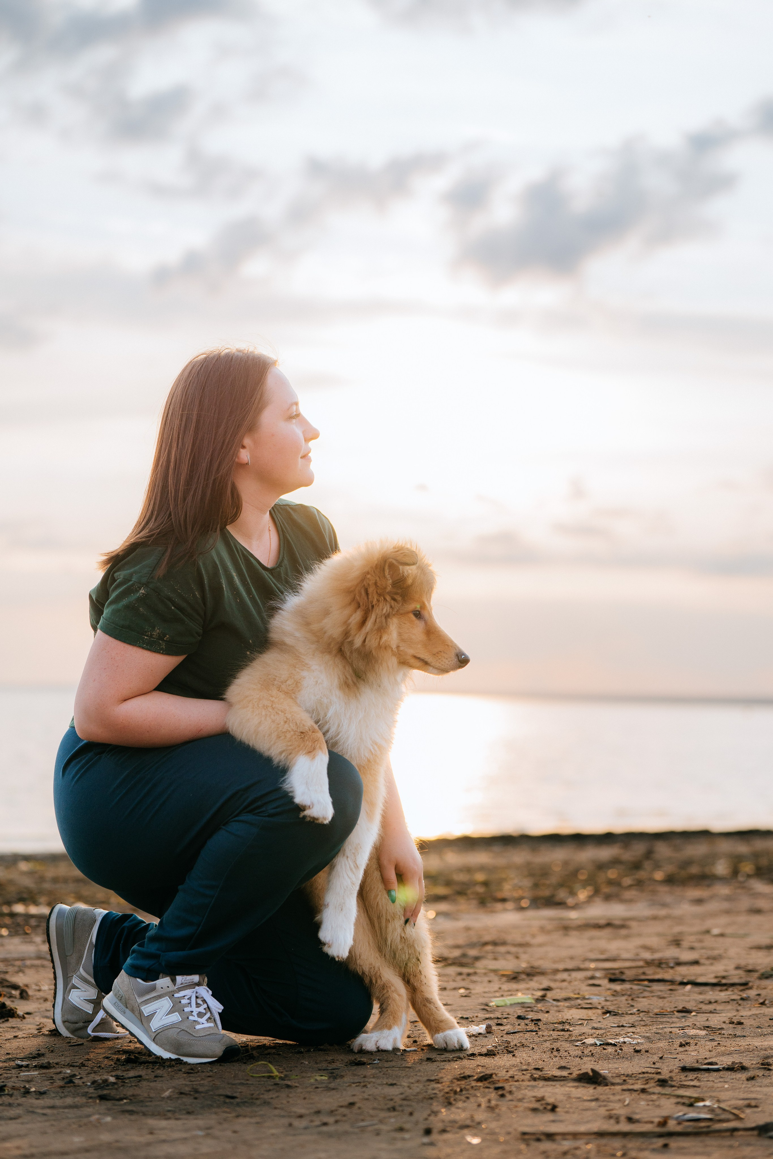 Фотосессия со щенками колли. Фотограф анималист в Спб недорого Олеся Майорова