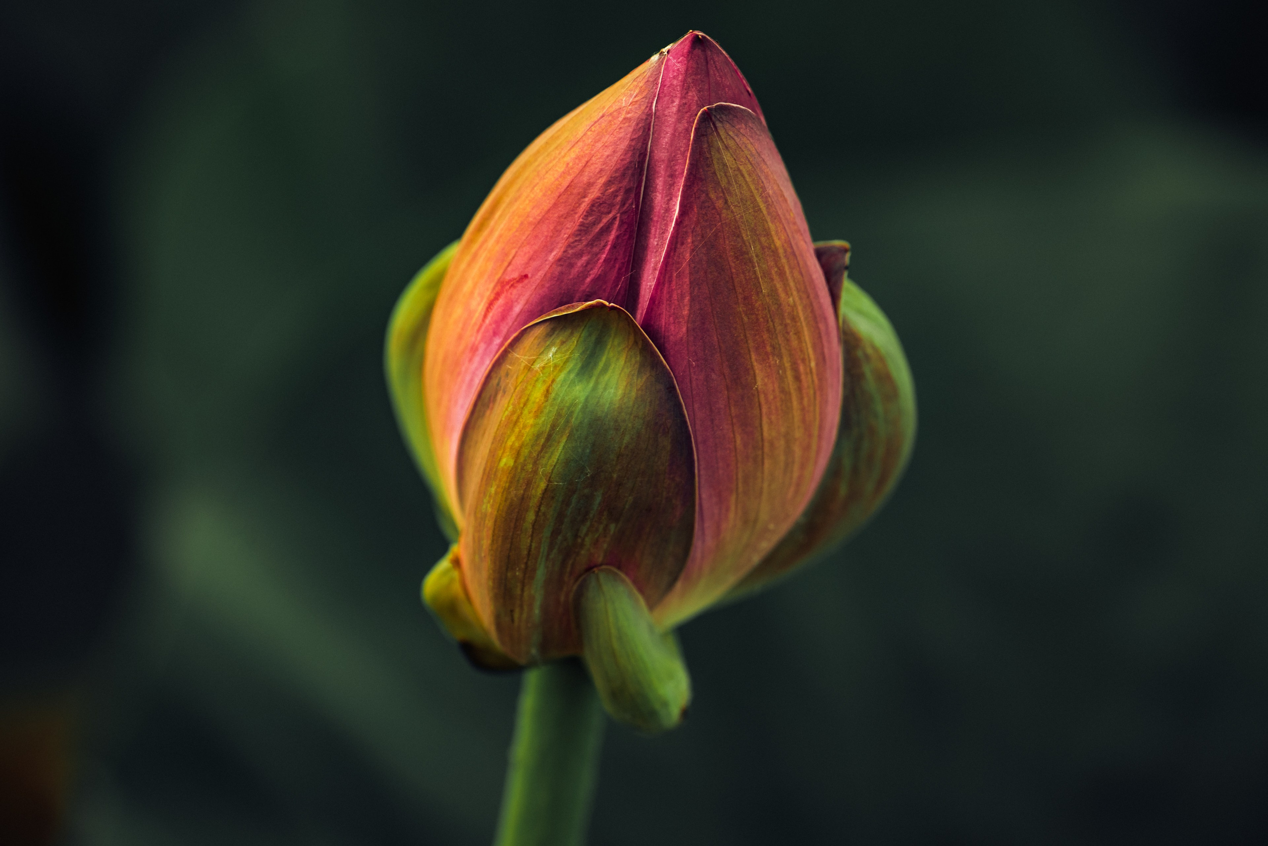 Пруд «Семейный» | с. Петровка. Иван Зайцев (IZIART) — создание культурного кода через фото и видео
