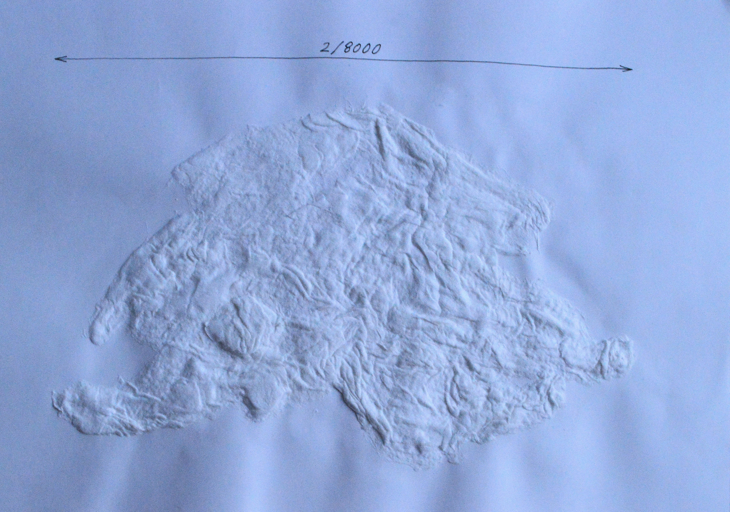 8000. 2025. Лилия Ким. Междисциплинарный художник