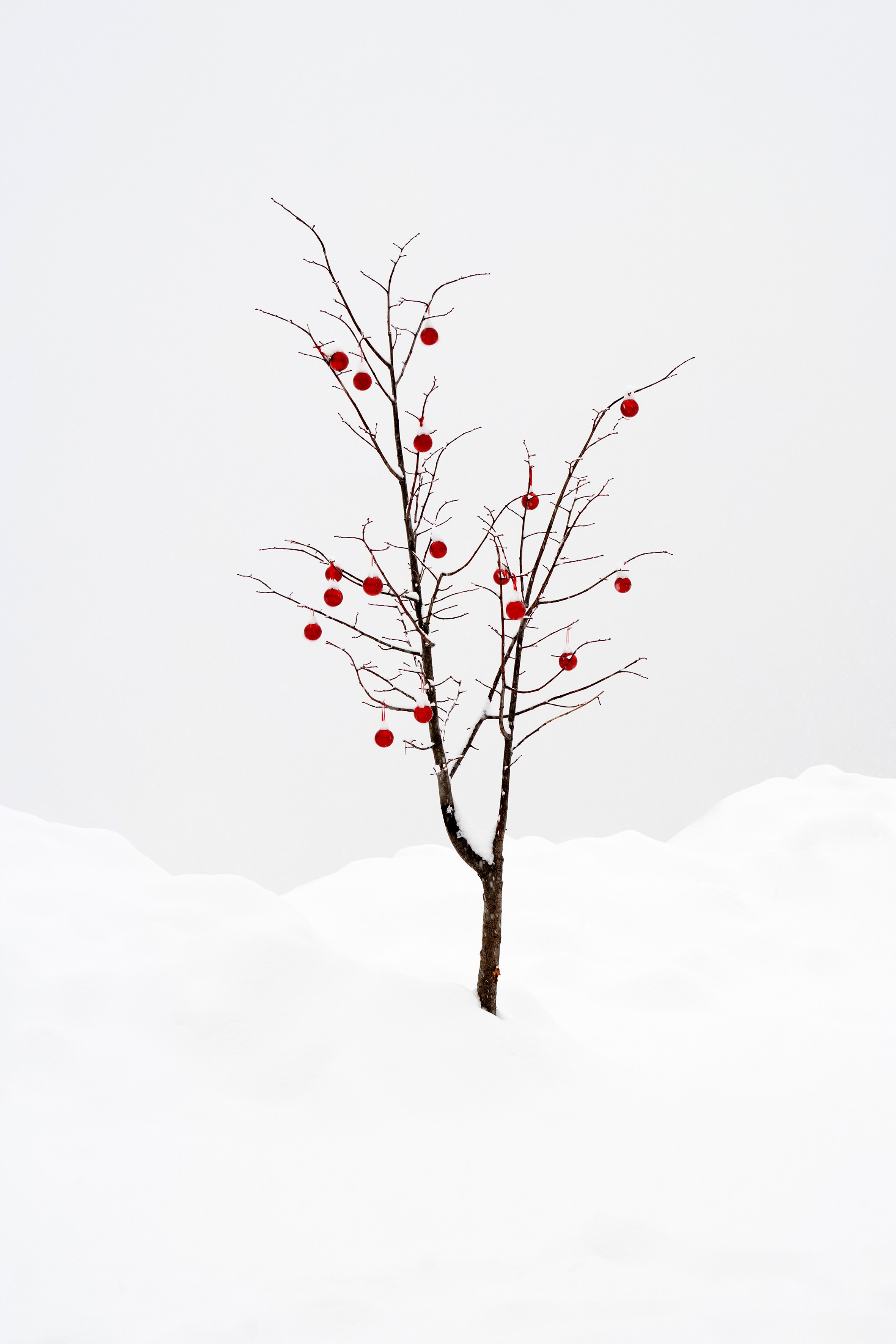 Dolomites. Vasiliy Riabovol — Fine Art Photographer | Time, Space, and Silence