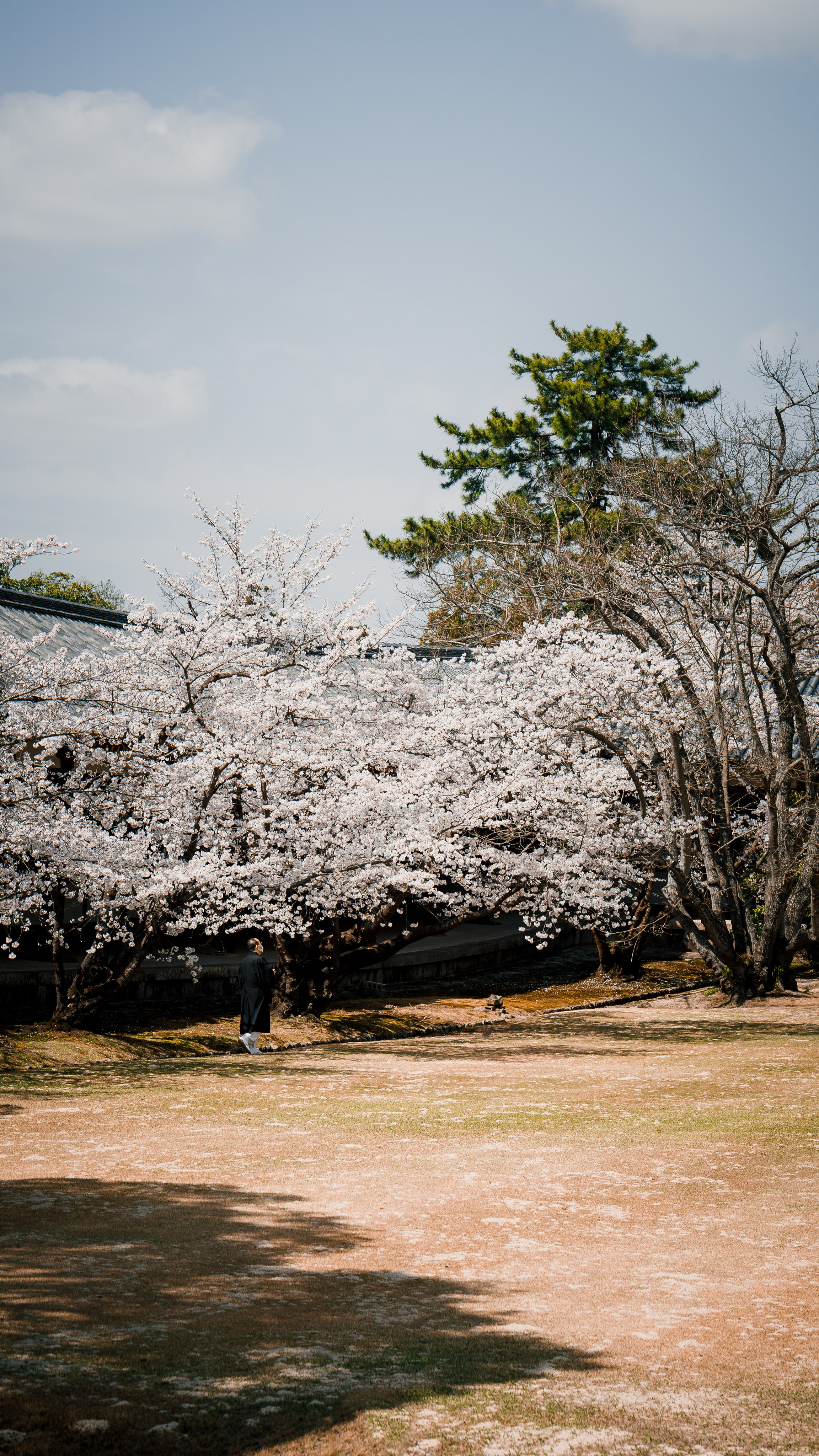 Турецкие приключения: Каппадокия + Ликийская тропа. Свадебный и Студийный фотограф из Казахстана Артем Орлянский