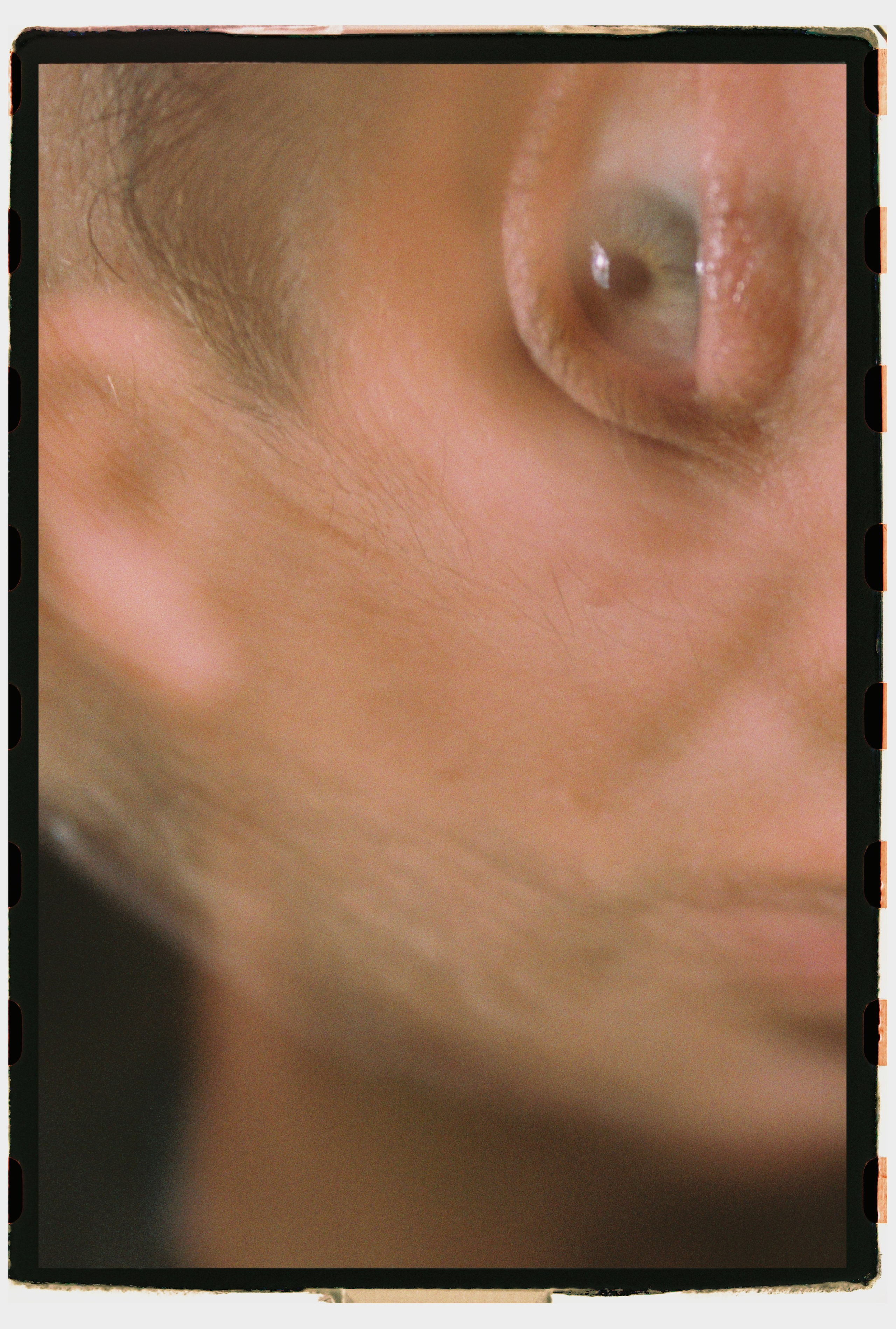 Портрет великого скульптора