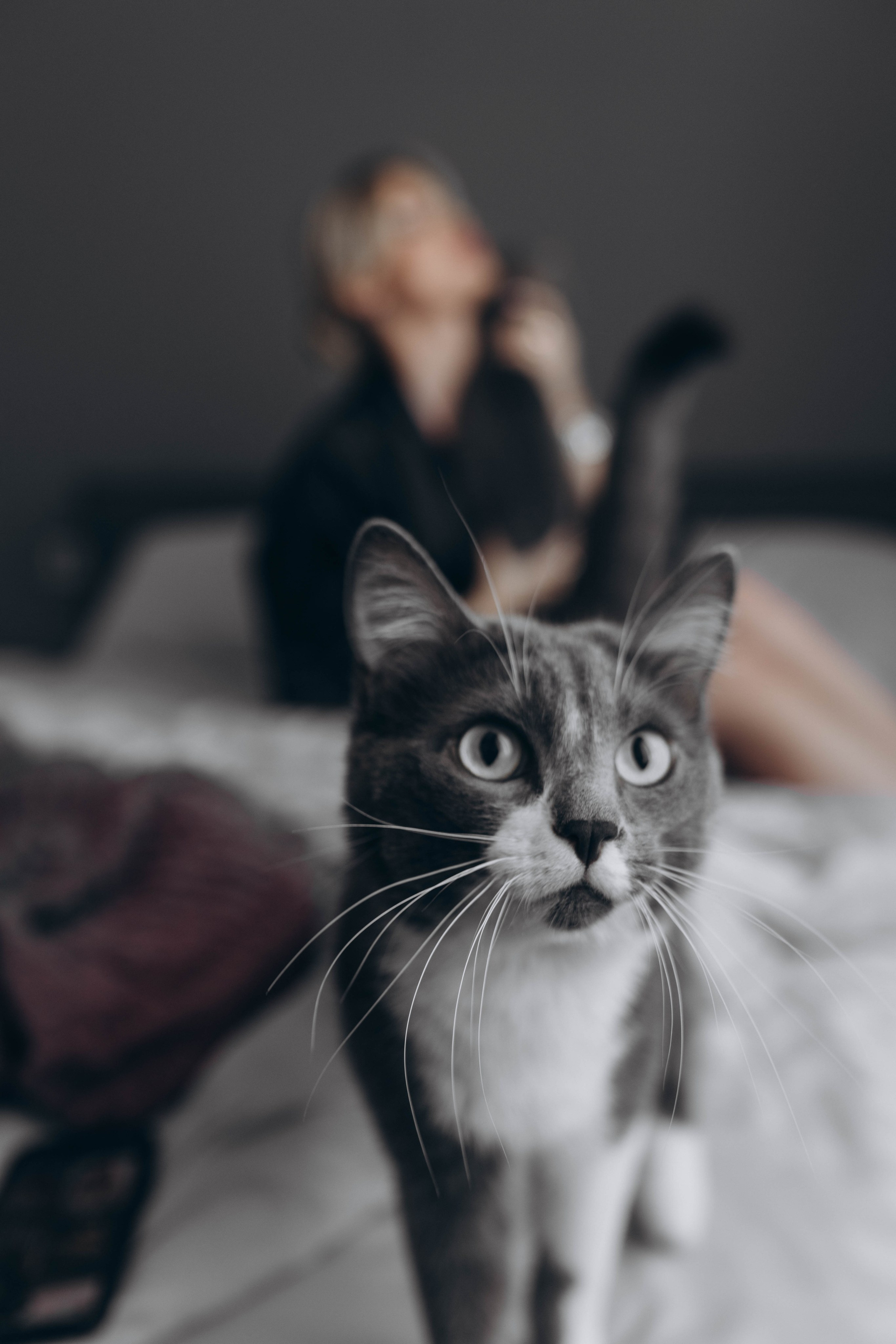 ПОДАРОЧНЫЙ СЕРТИФИКАТ