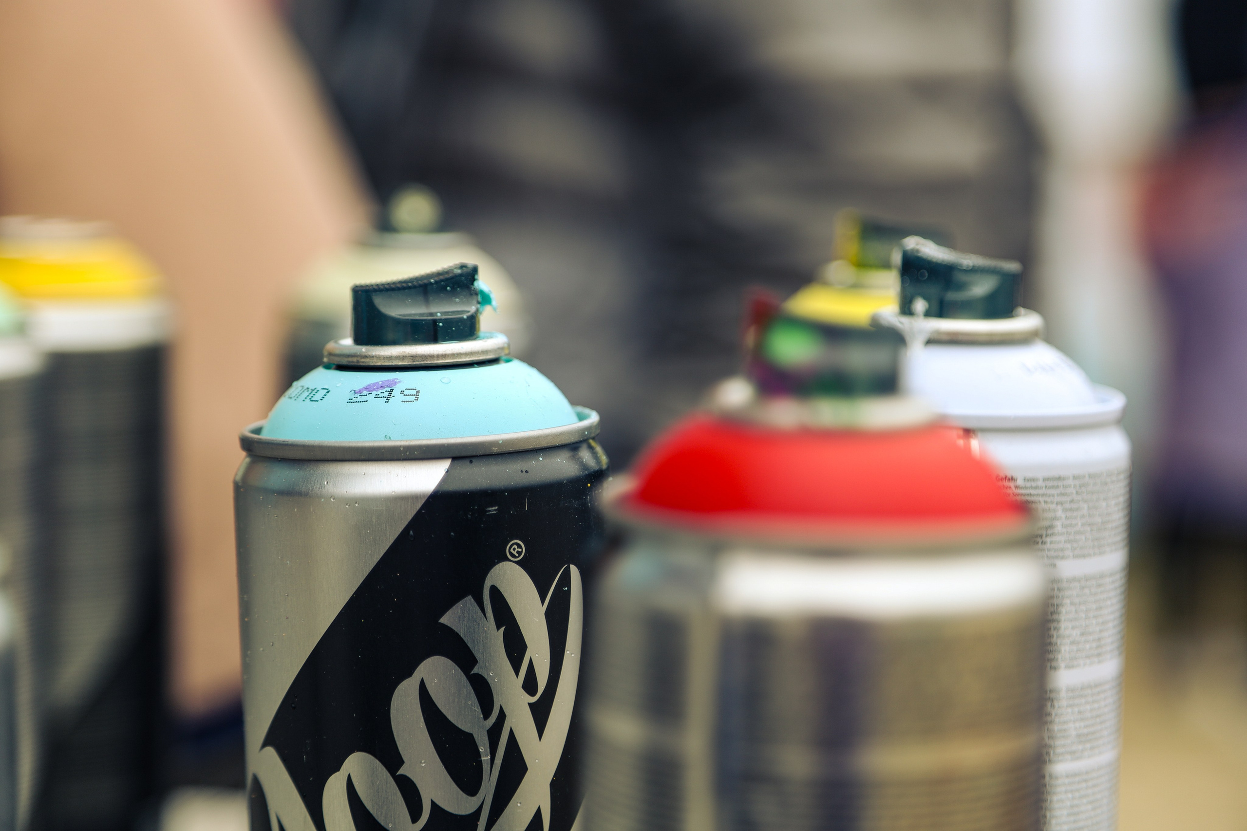 Художественно-исследовательские и образовательные проекты