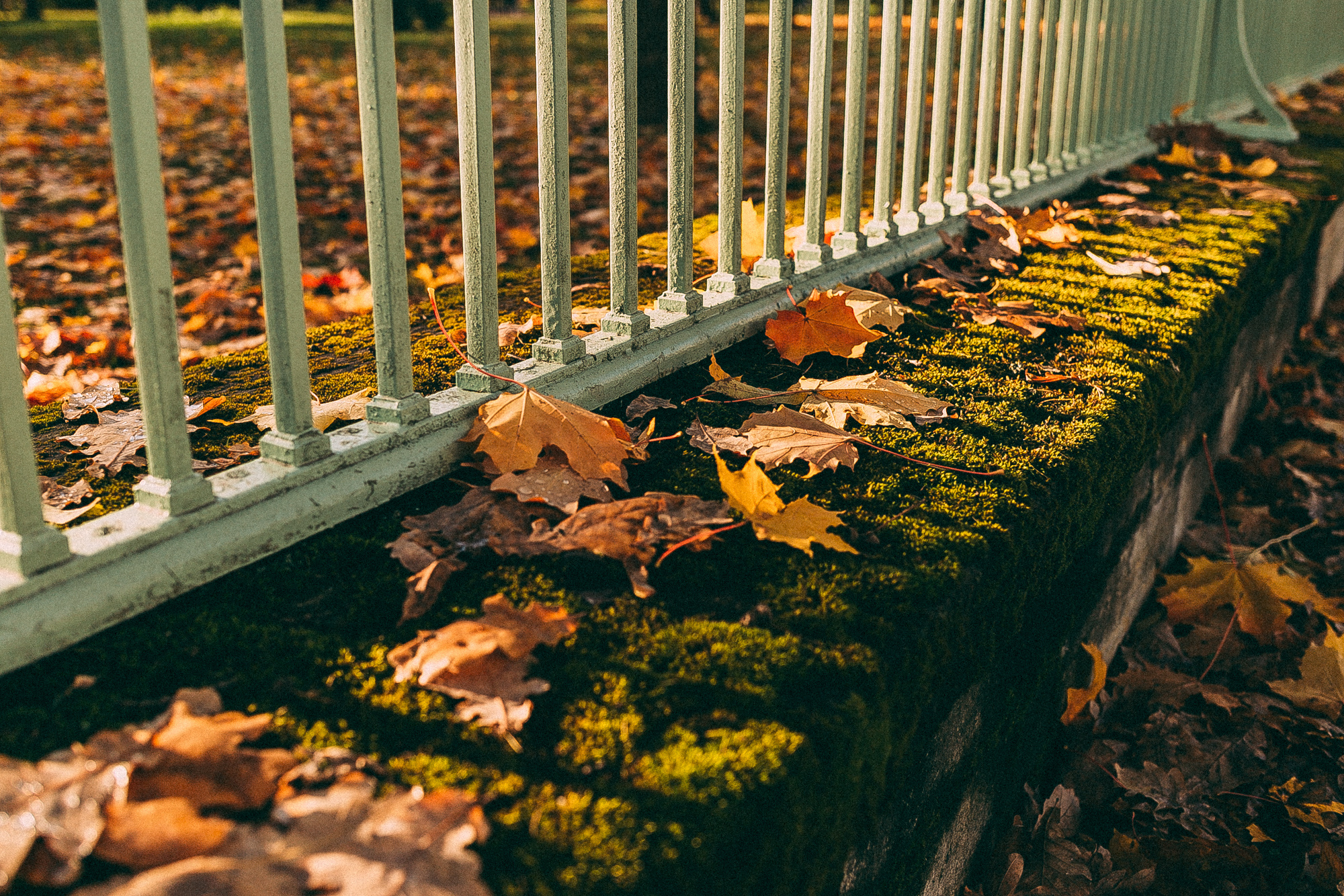 Пушкин. Даша Яковенко Фотограф Спб