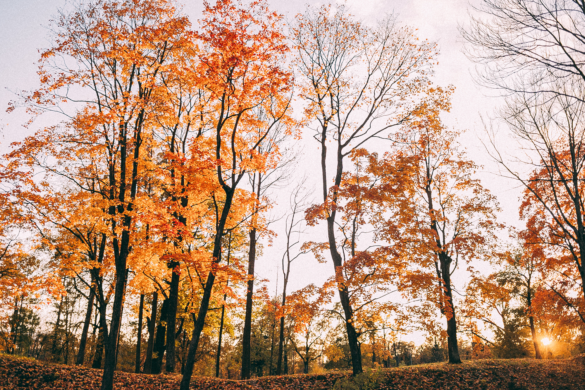 Пушкин. Даша Яковенко Фотограф Спб
