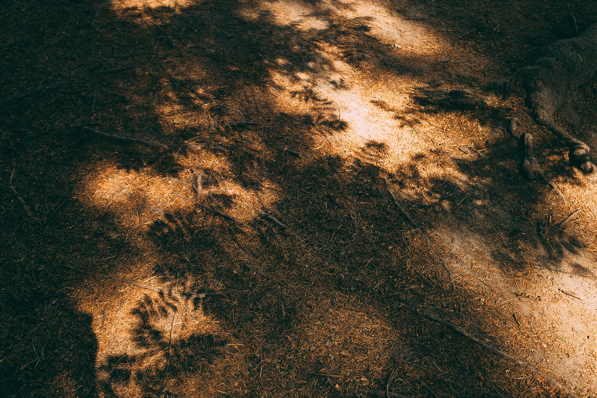 Выборг. Даша Яковенко Фотограф Спб