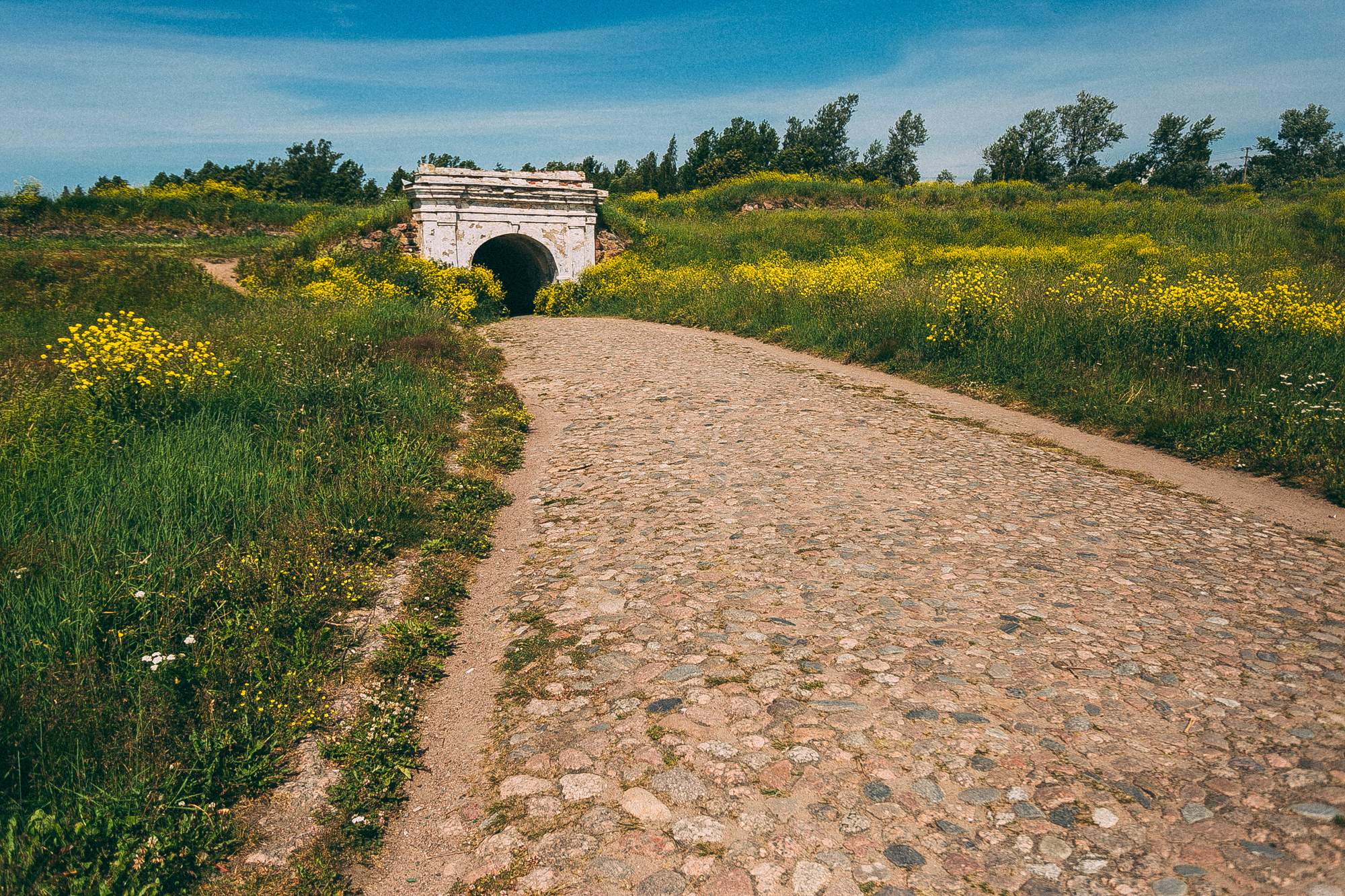 Выборг. Даша Яковенко Фотограф Спб