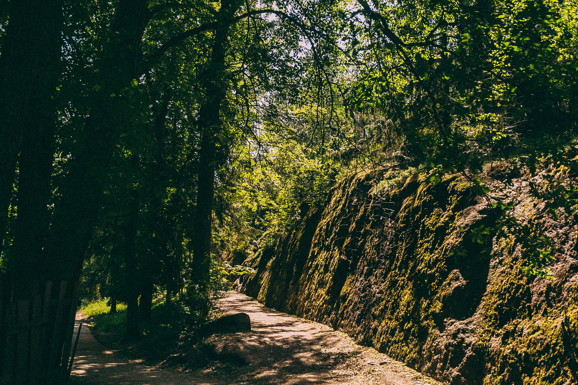 Выборг. Даша Яковенко Фотограф Спб