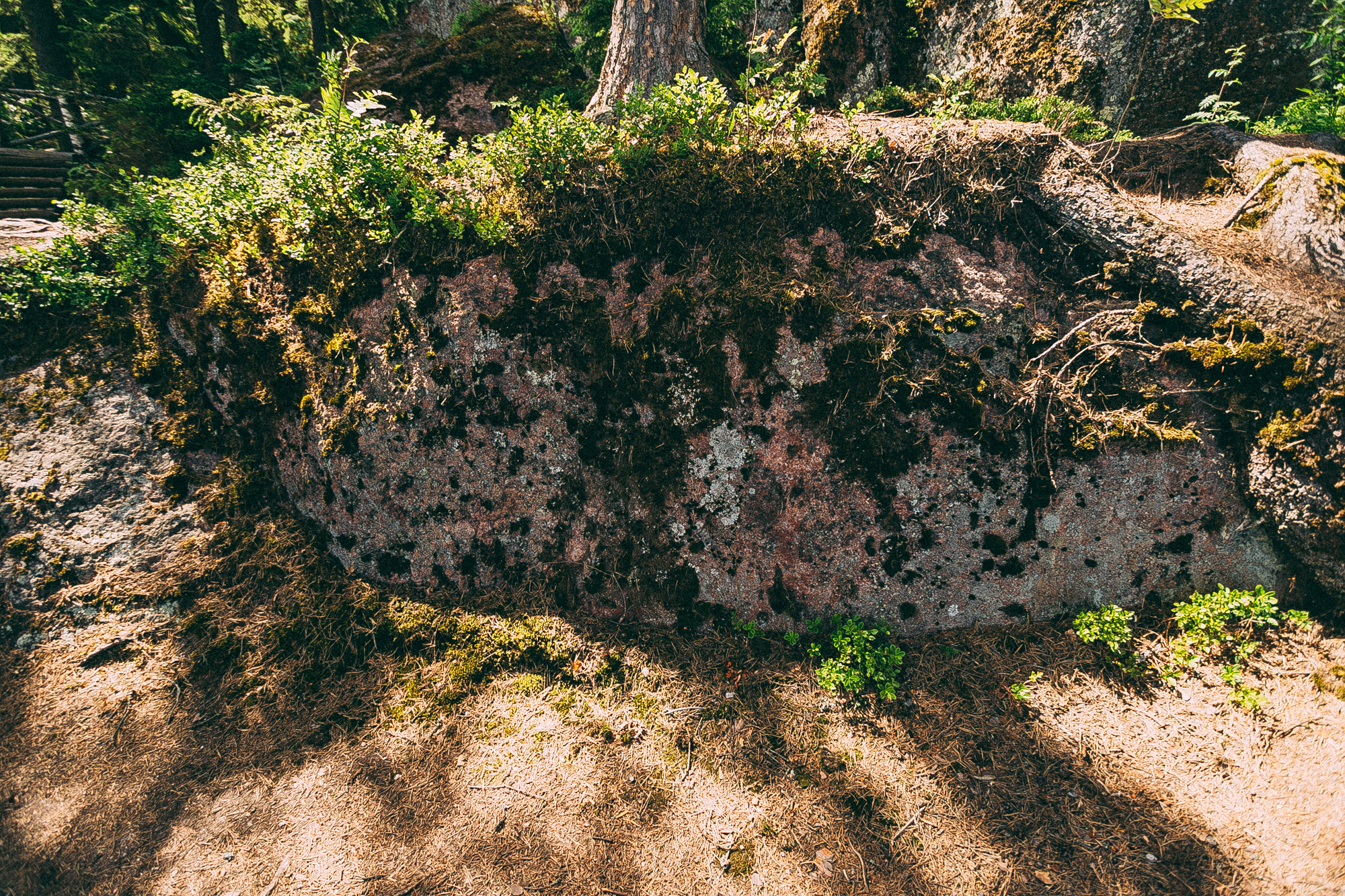 Выборг. Даша Яковенко Фотограф Спб