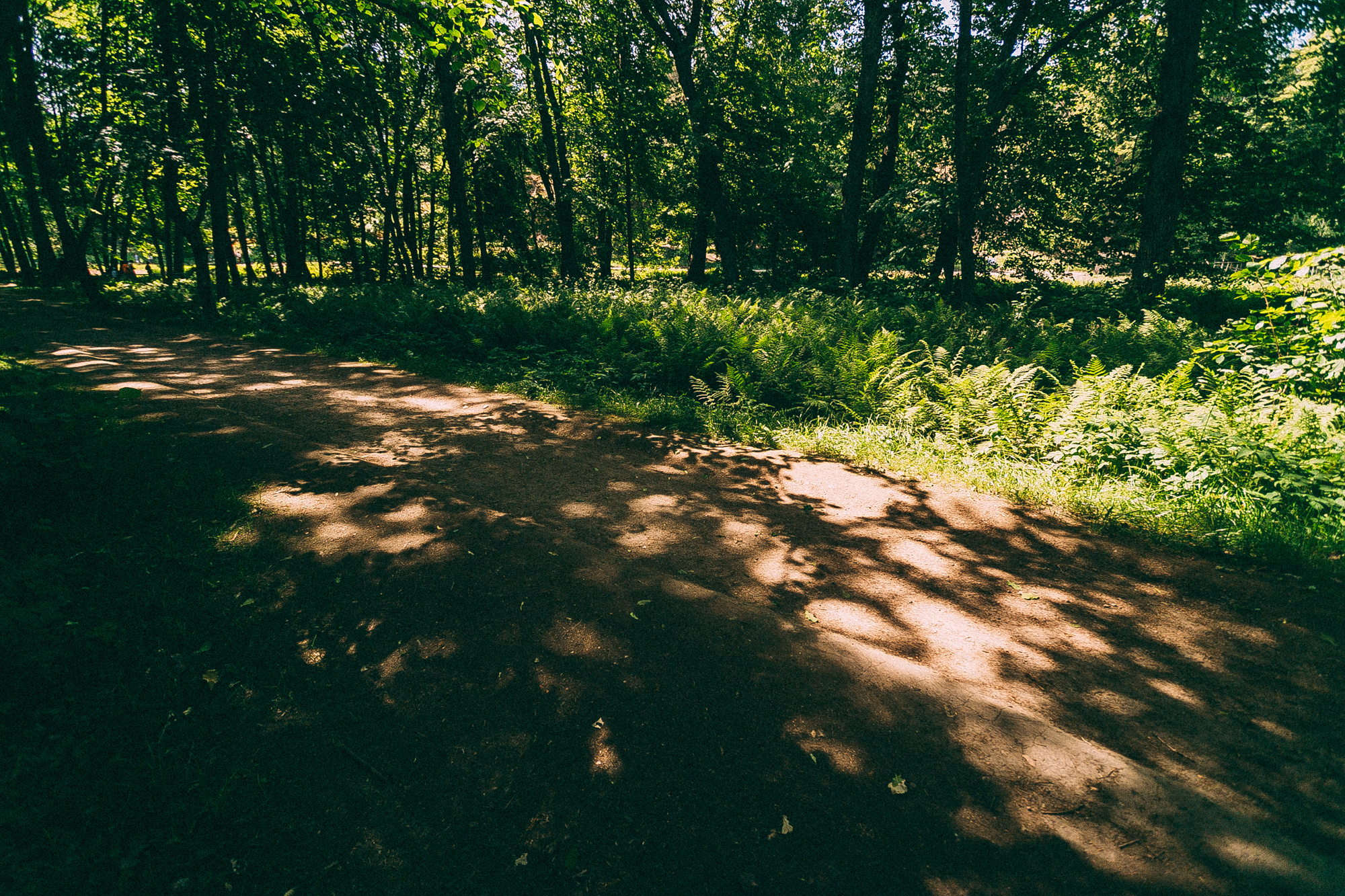 Выборг. Даша Яковенко Фотограф Спб