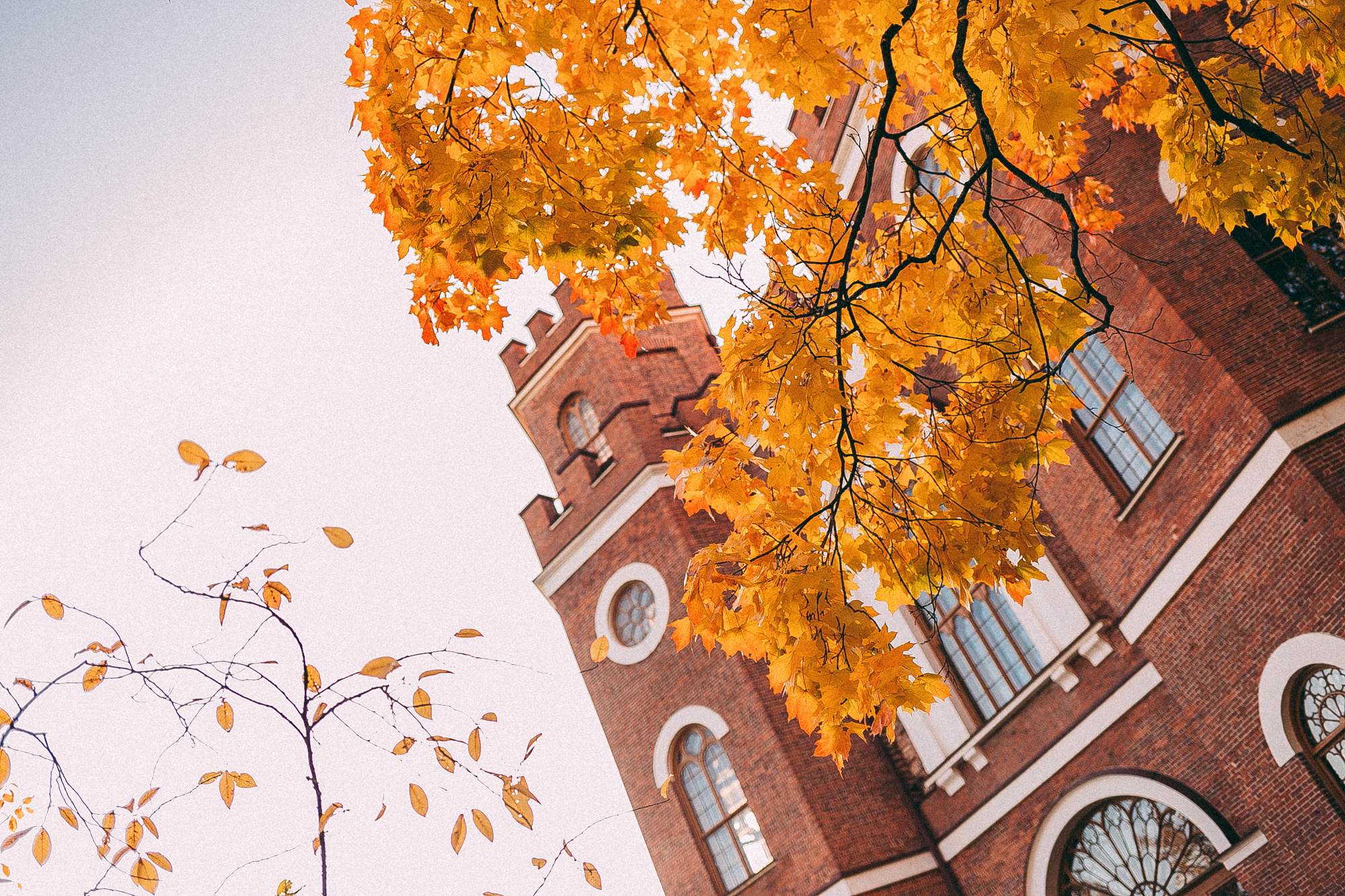 Пушкин. Даша Яковенко Фотограф Спб